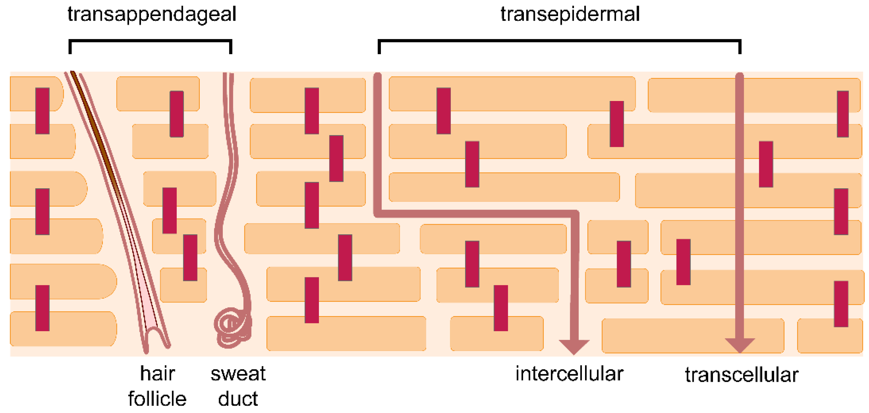 Pharmaceutics 14 00433 g003