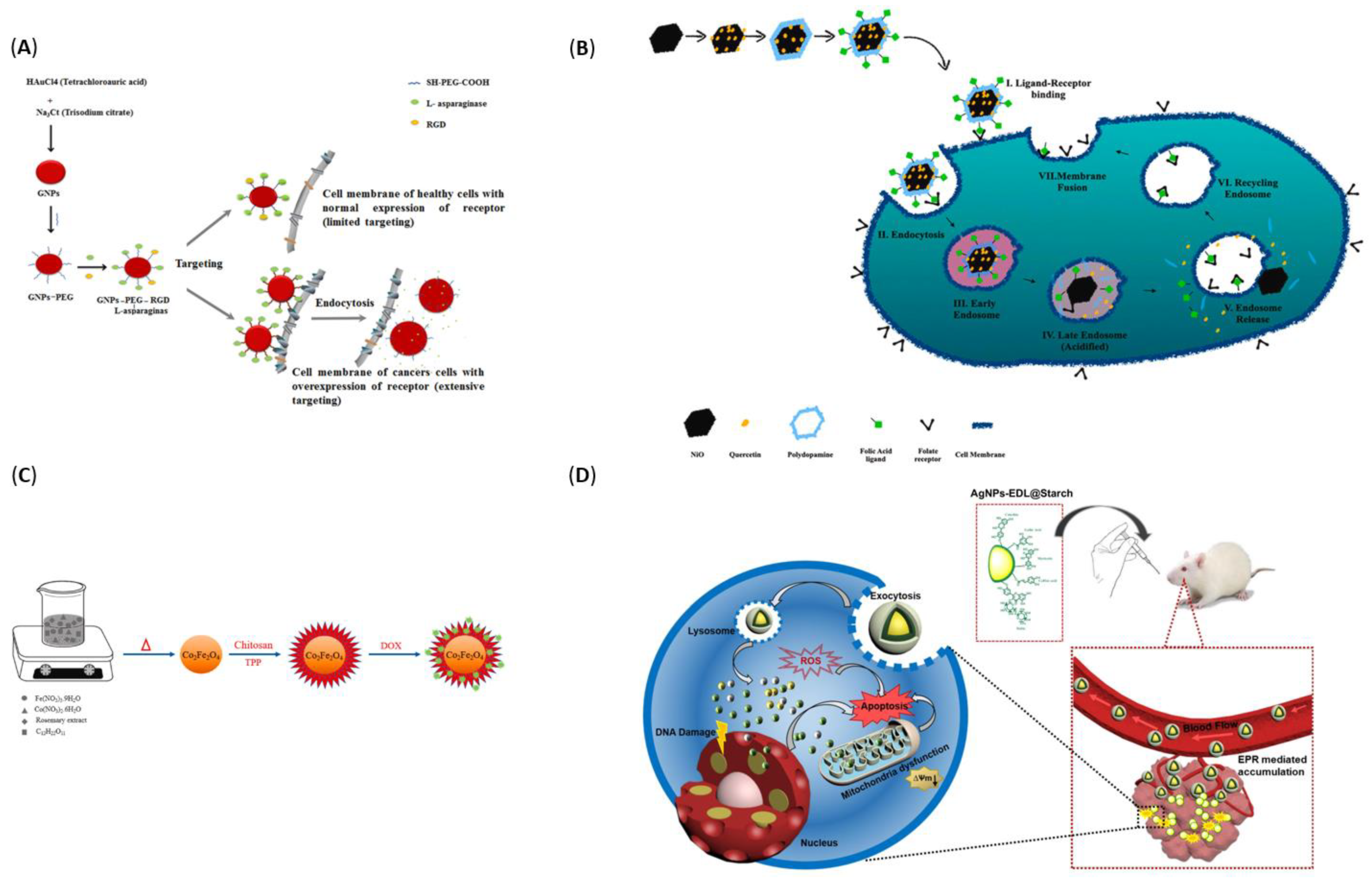 Pharmaceutics 14 00435 g008