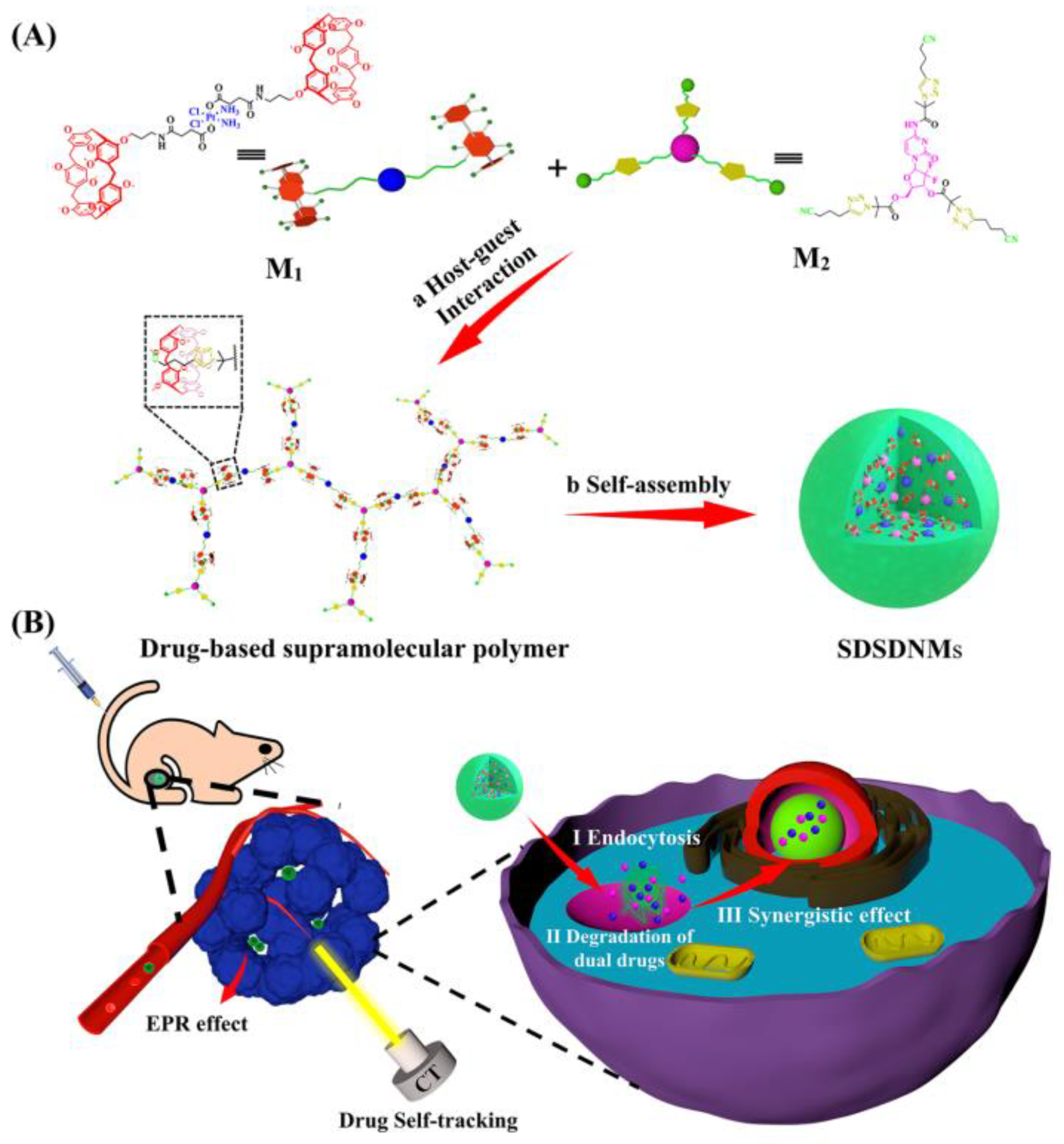 Pharmaceutics 14 00435 g009