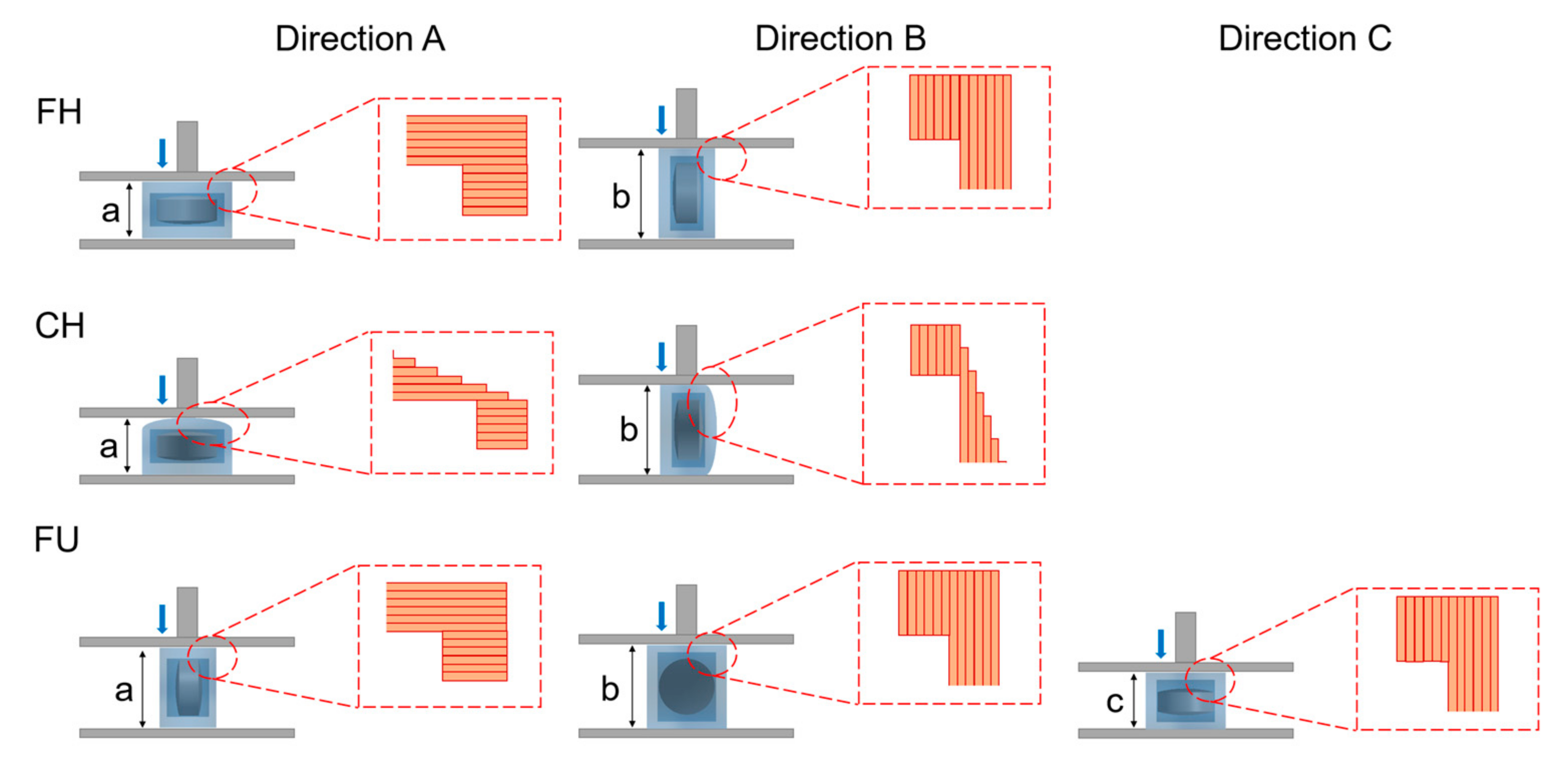 Pharmaceutics 14 00437 g003