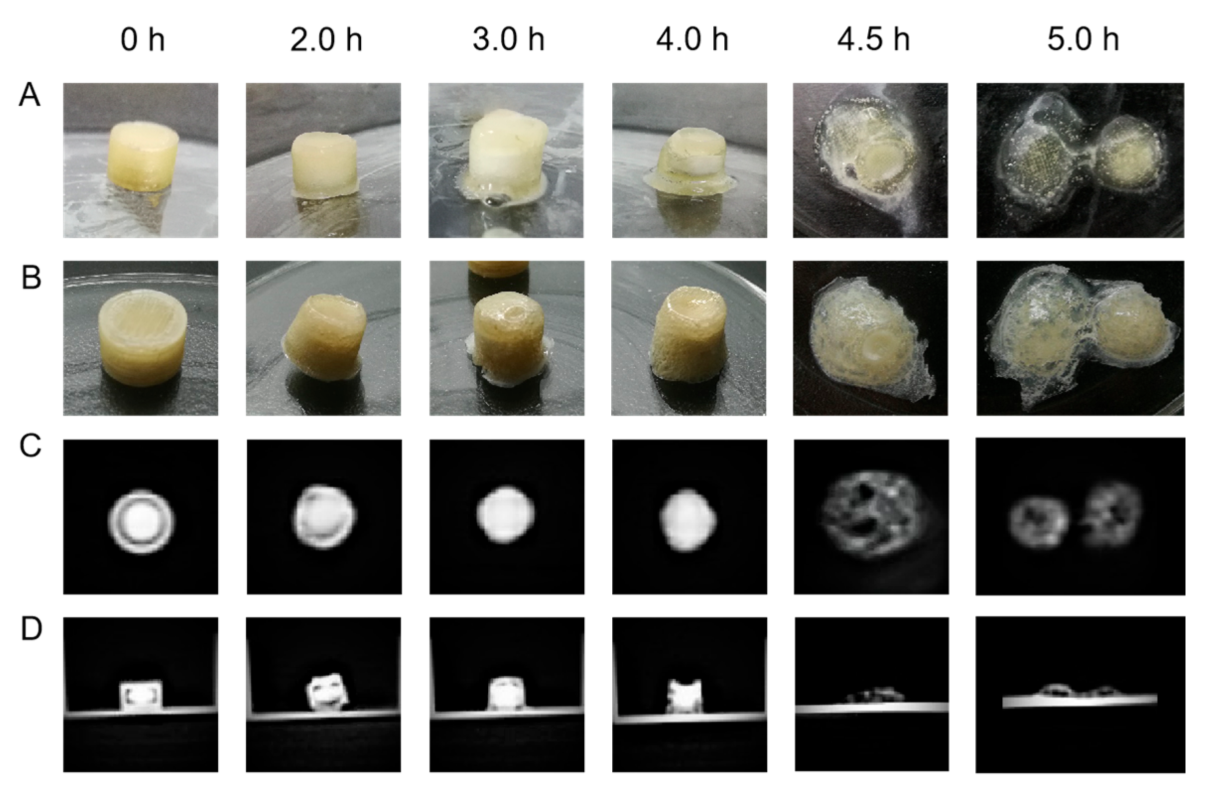 Pharmaceutics 14 00437 g010