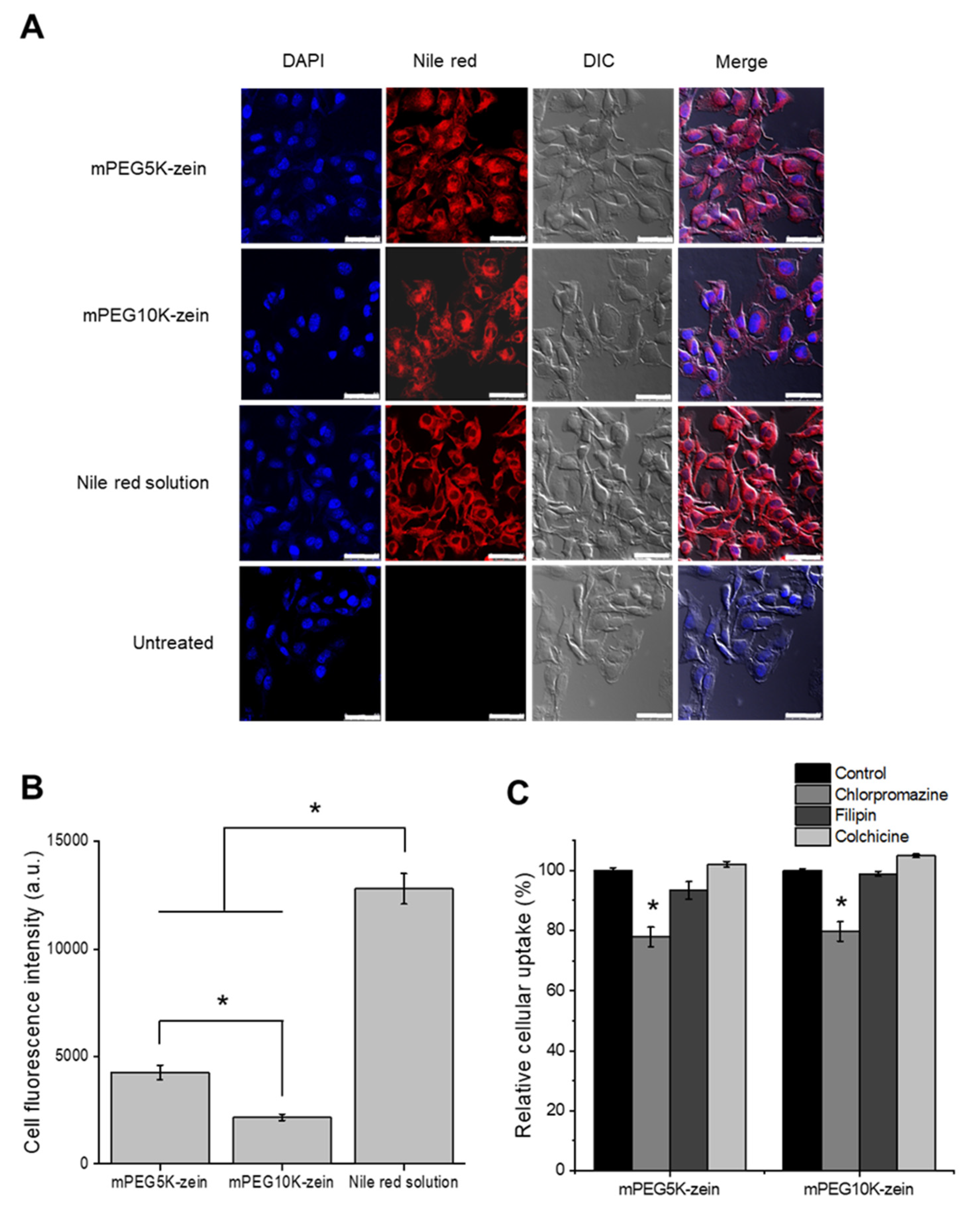 Pharmaceutics 14 00439 g003 Pharmaceutics 14 00439 g003