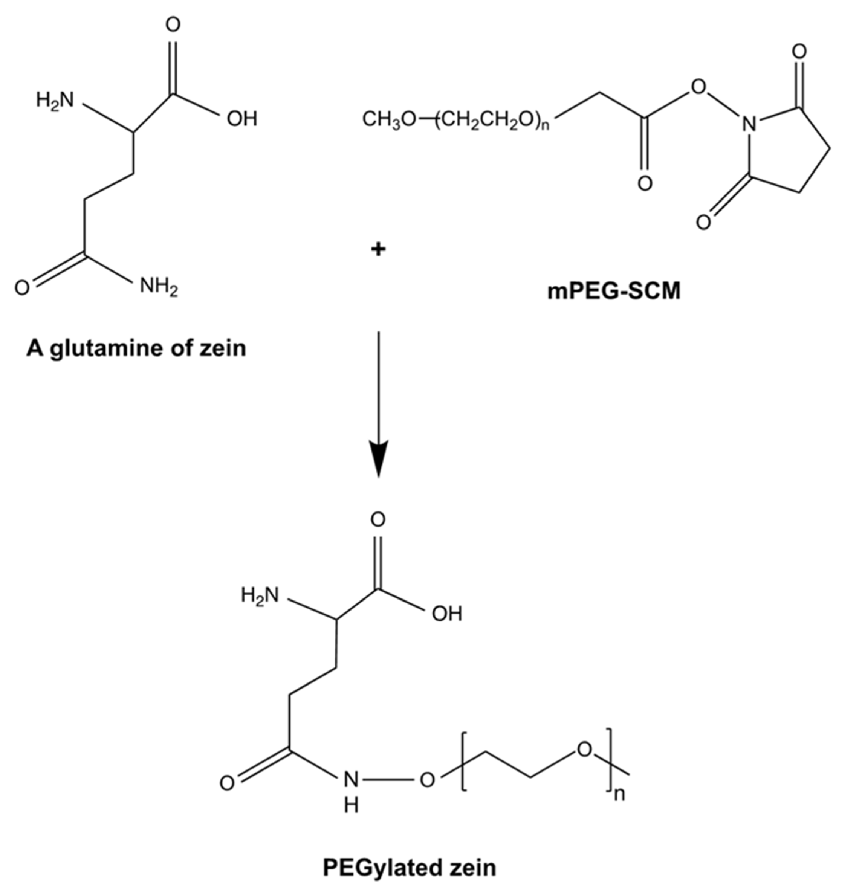 Pharmaceutics 14 00439 sch001 Pharmaceutics 14 00439 sch001