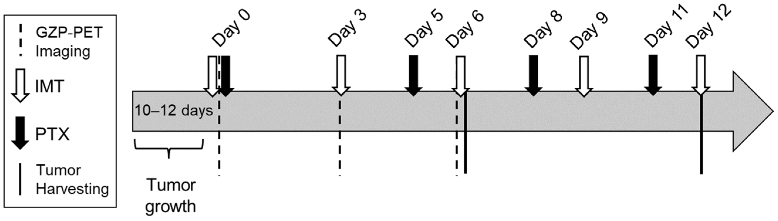 Pharmaceutics 14 00440 g001