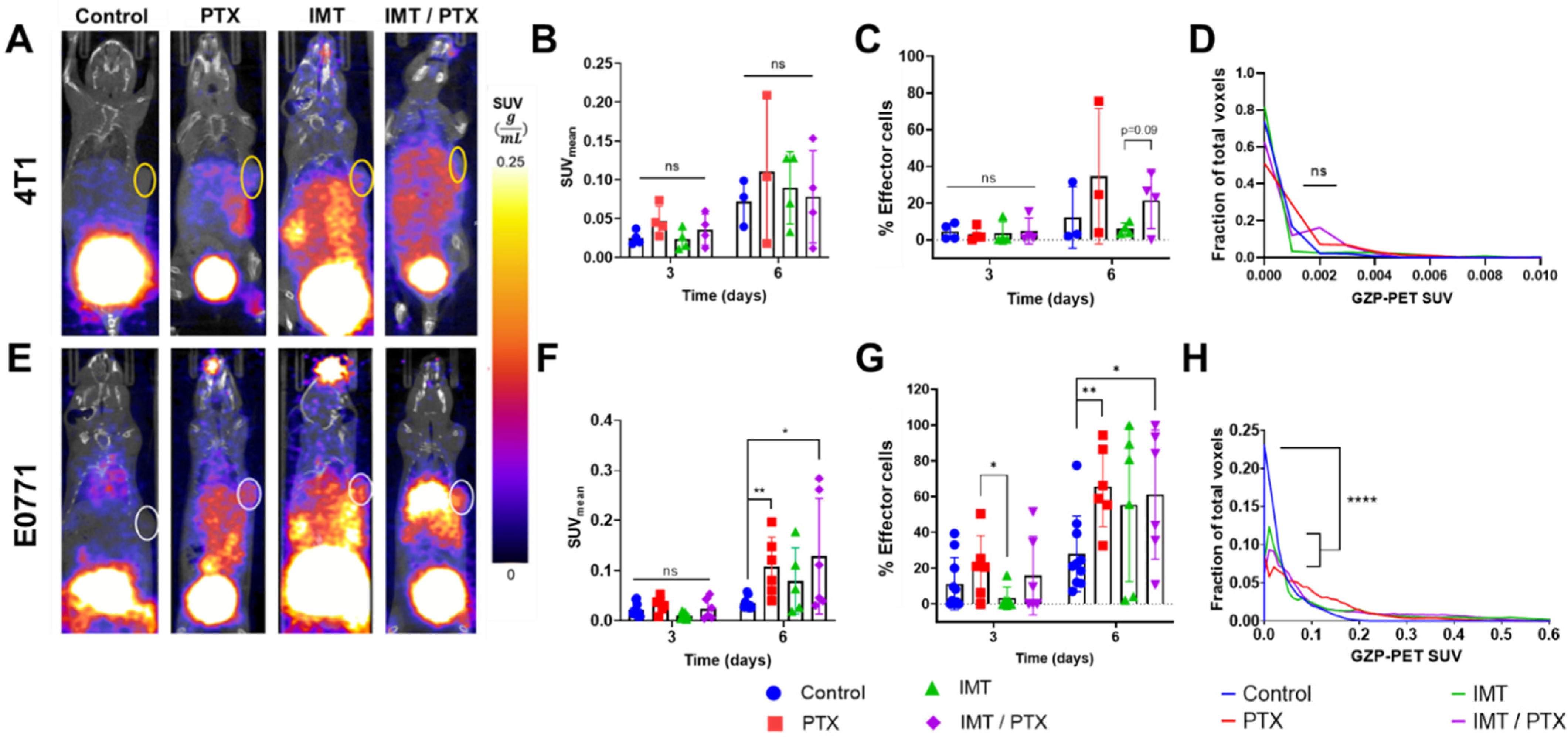 Pharmaceutics 14 00440 g002