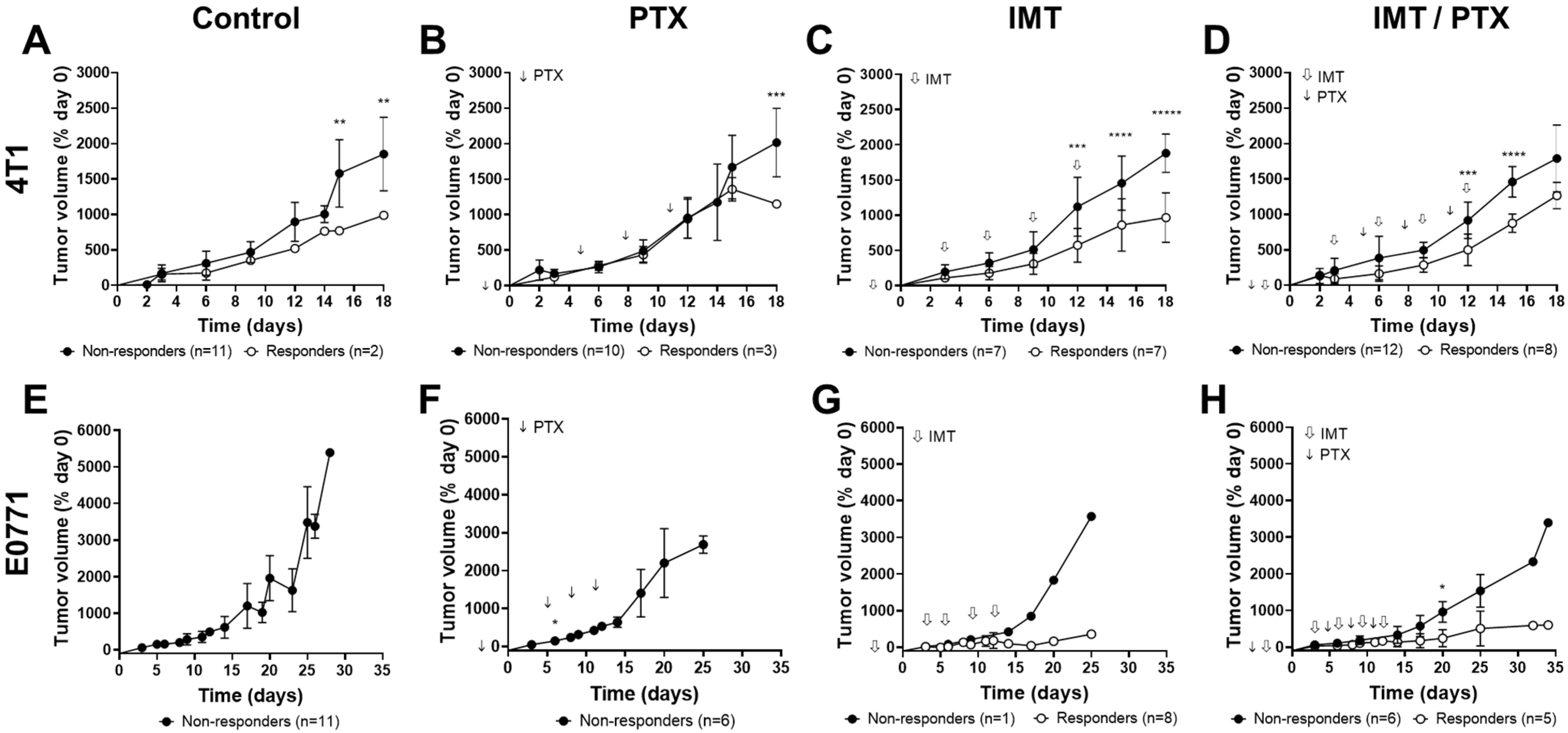 Pharmaceutics 14 00440 g003