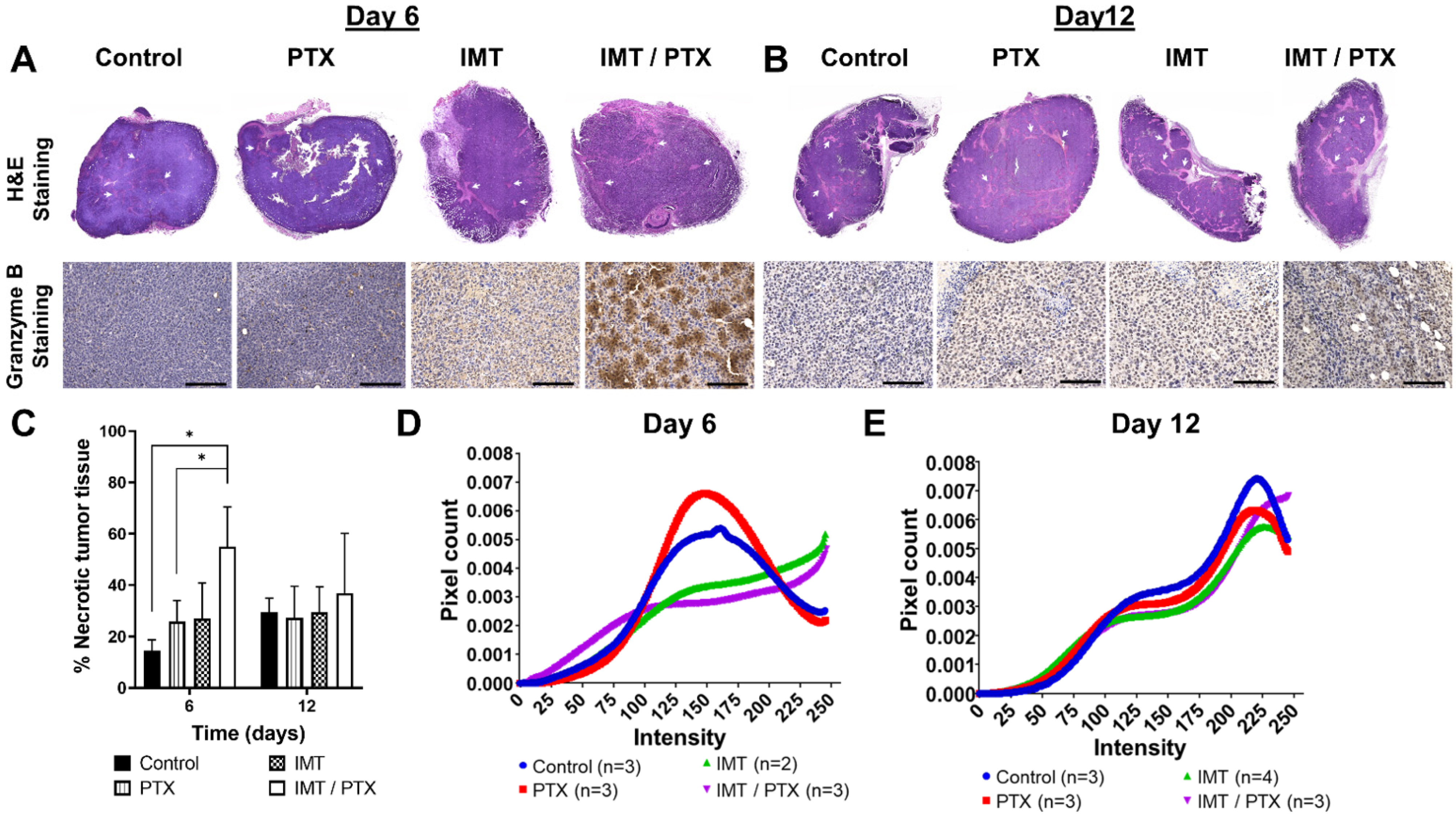 Pharmaceutics 14 00440 g005
