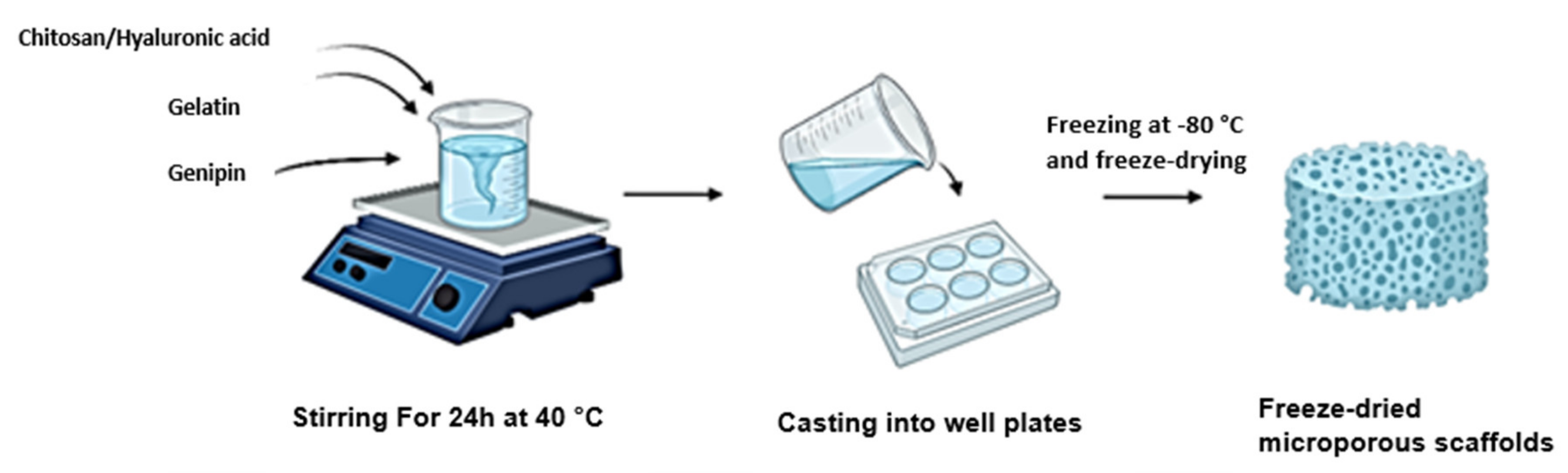 Pharmaceutics 14 00441 g001