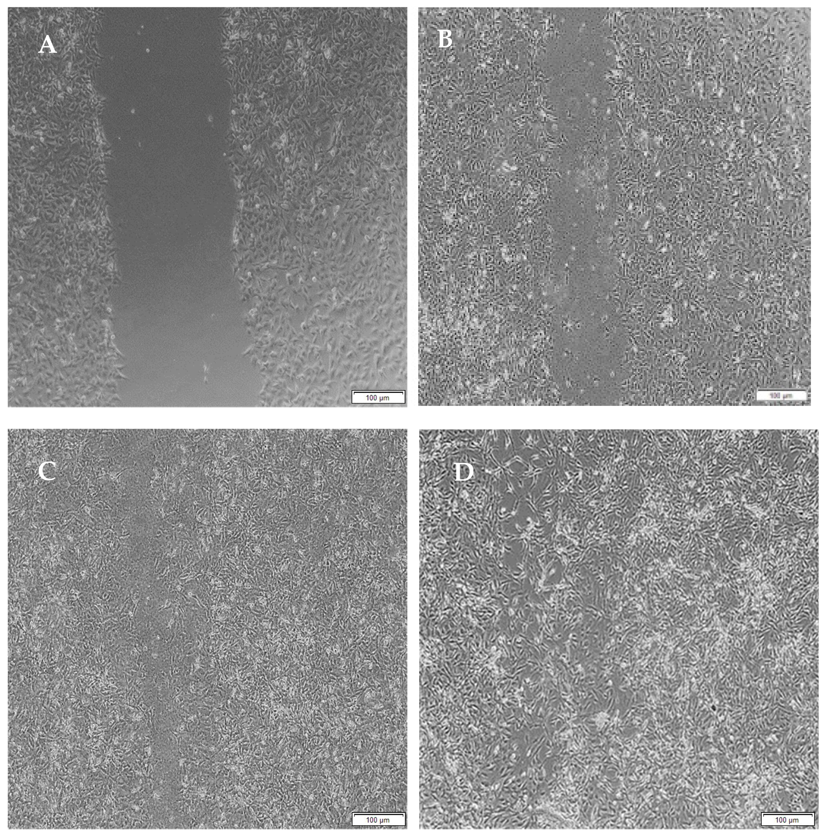 Pharmaceutics 14 00441 g015