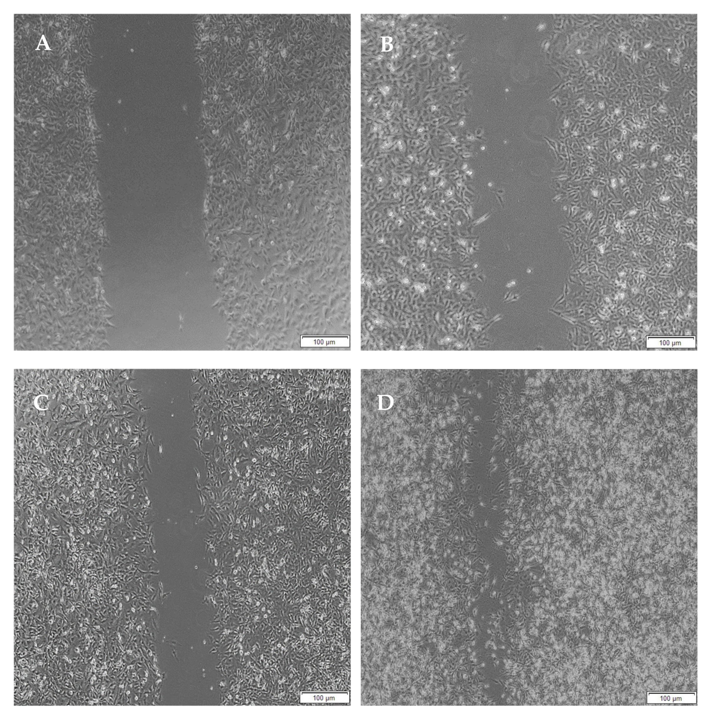 Pharmaceutics 14 00441 g017