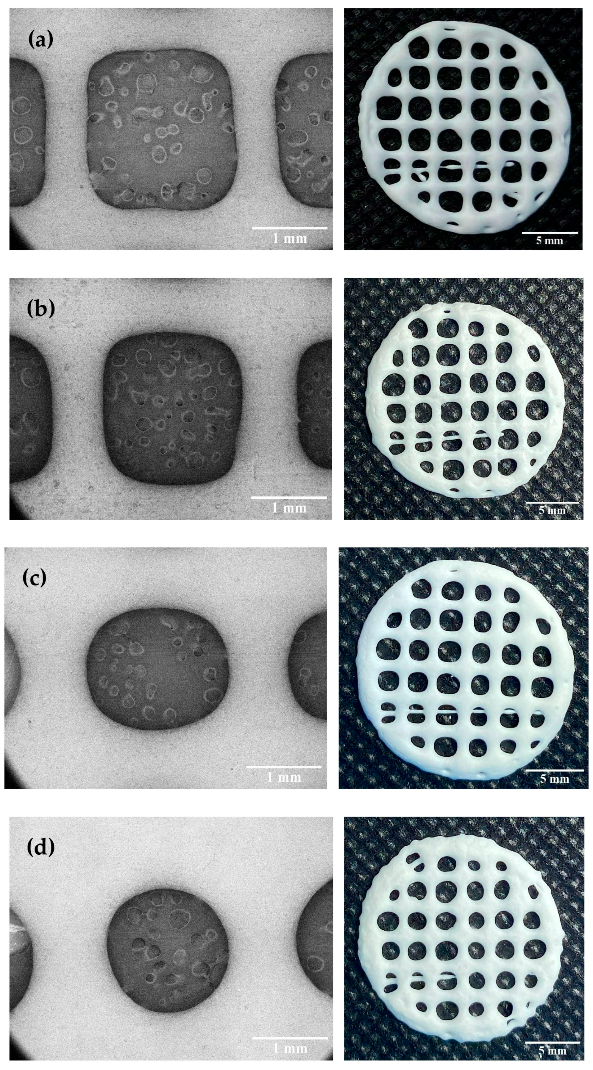 Pharmaceutics 14 00443 g004 550