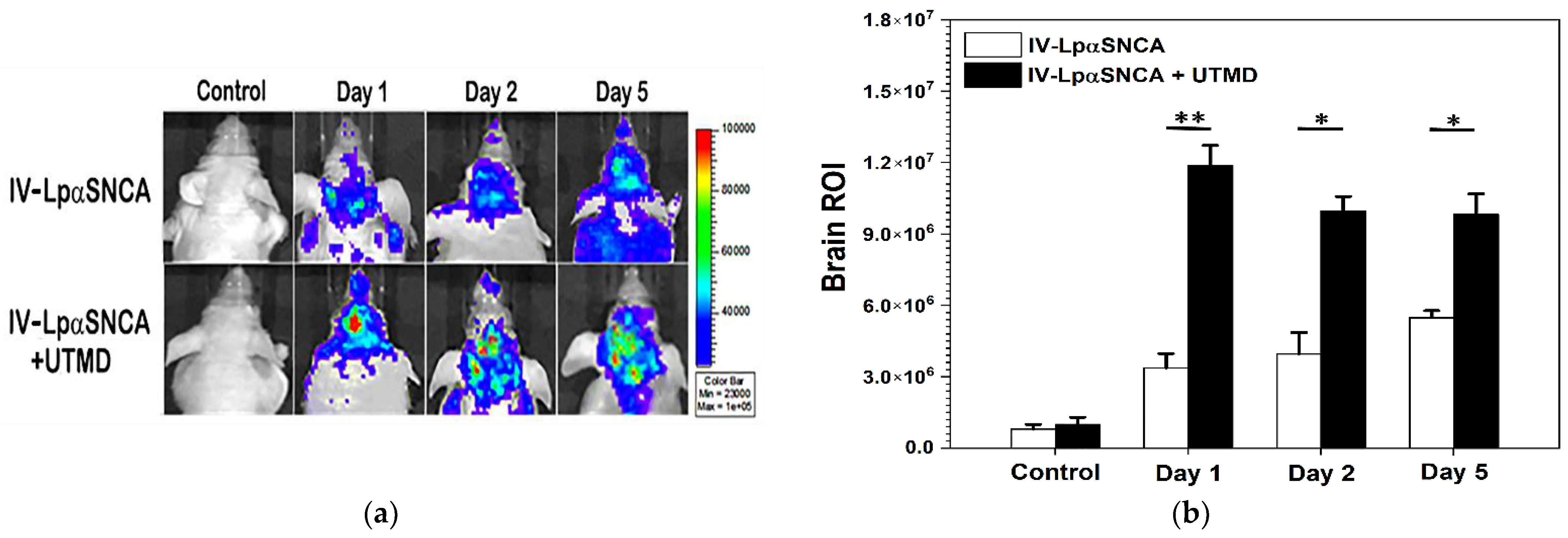 Pharmaceutics 14 00444 g003