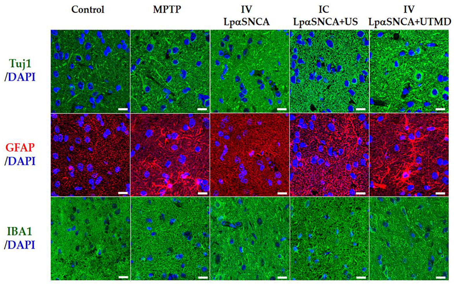 Pharmaceutics 14 00444 g006