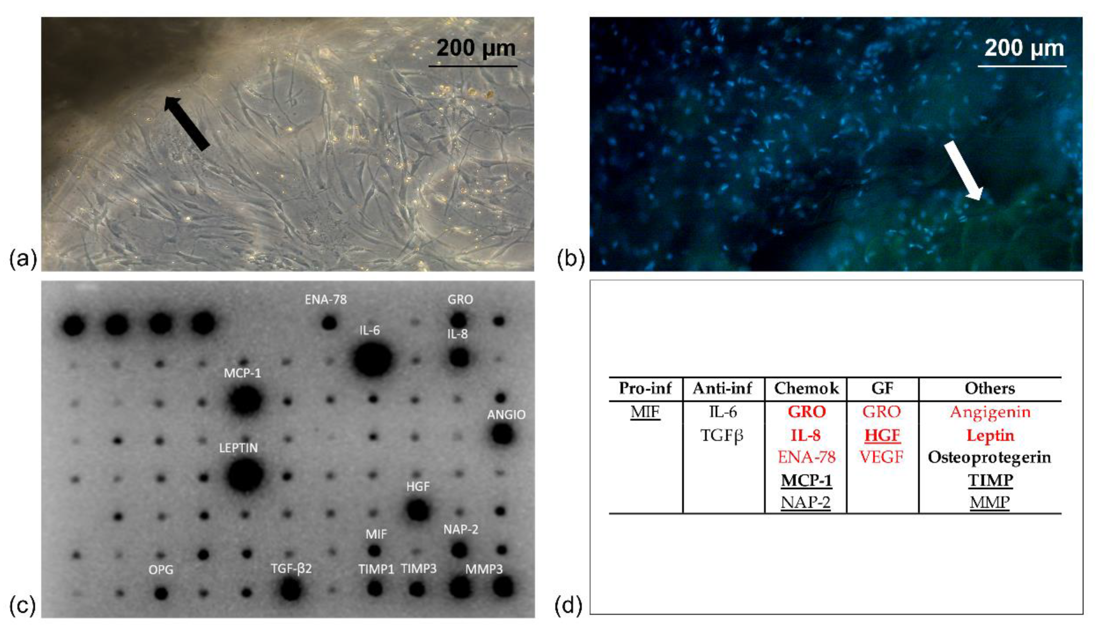 Pharmaceutics 14 00447 g001 550