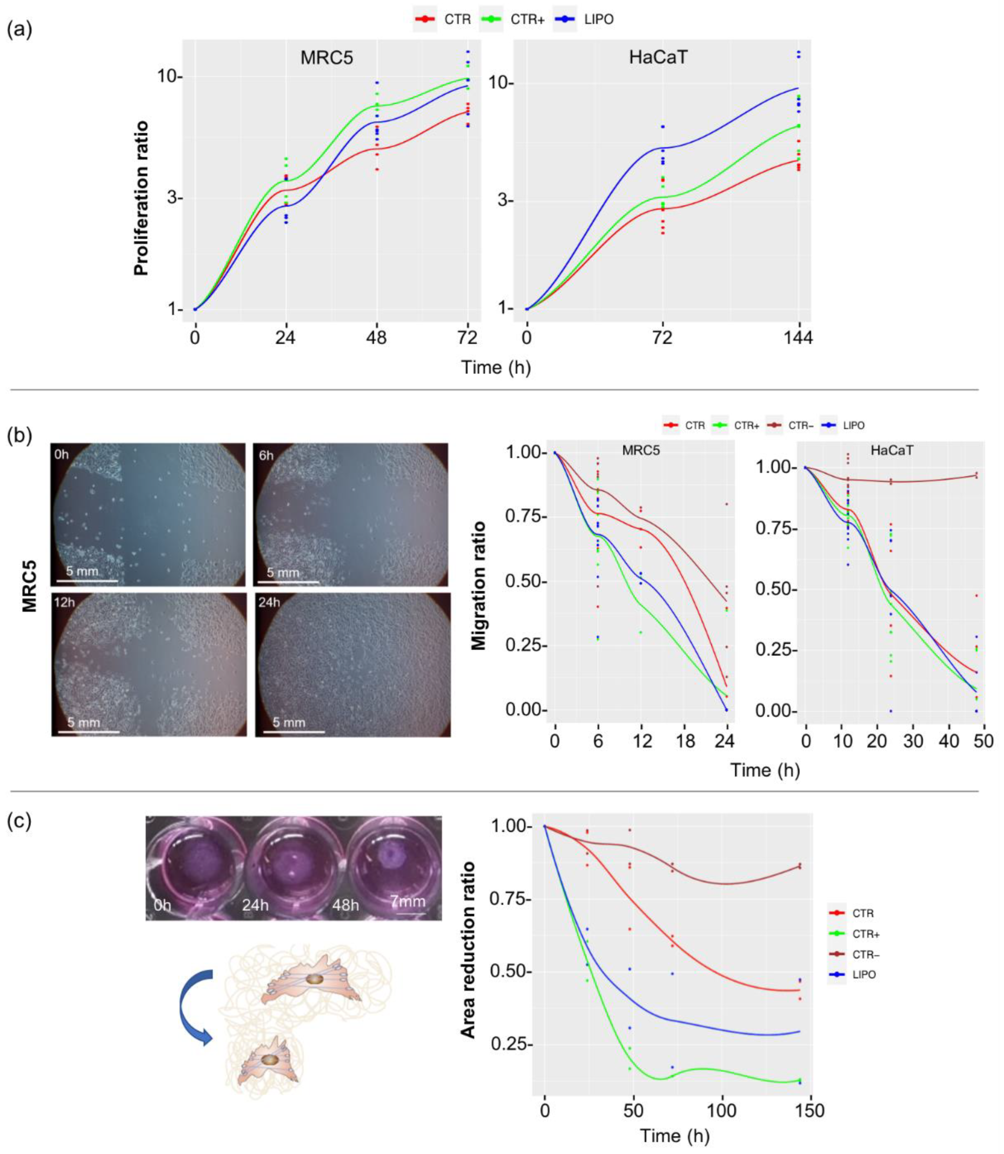 Pharmaceutics 14 00447 g002 550