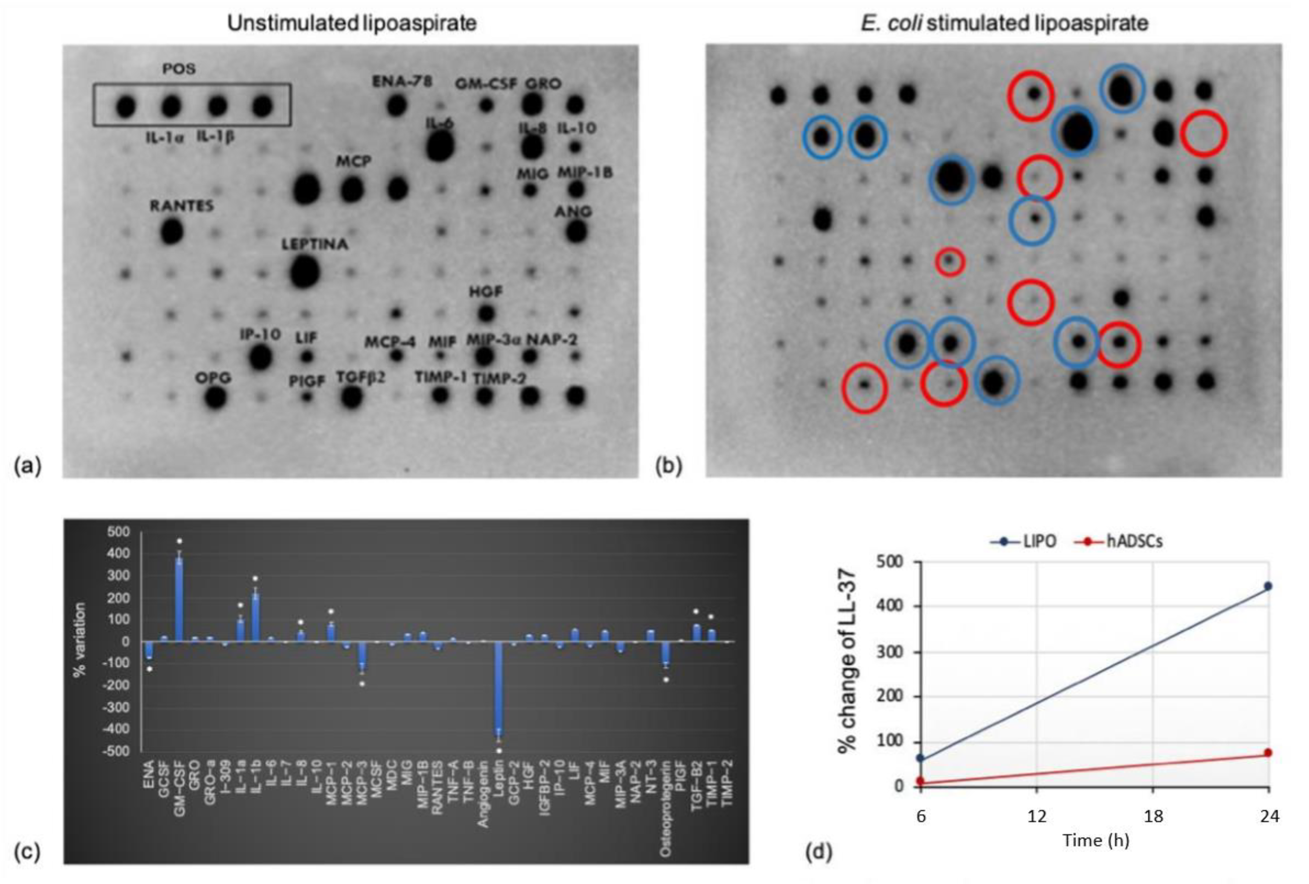 Pharmaceutics 14 00447 g005 550