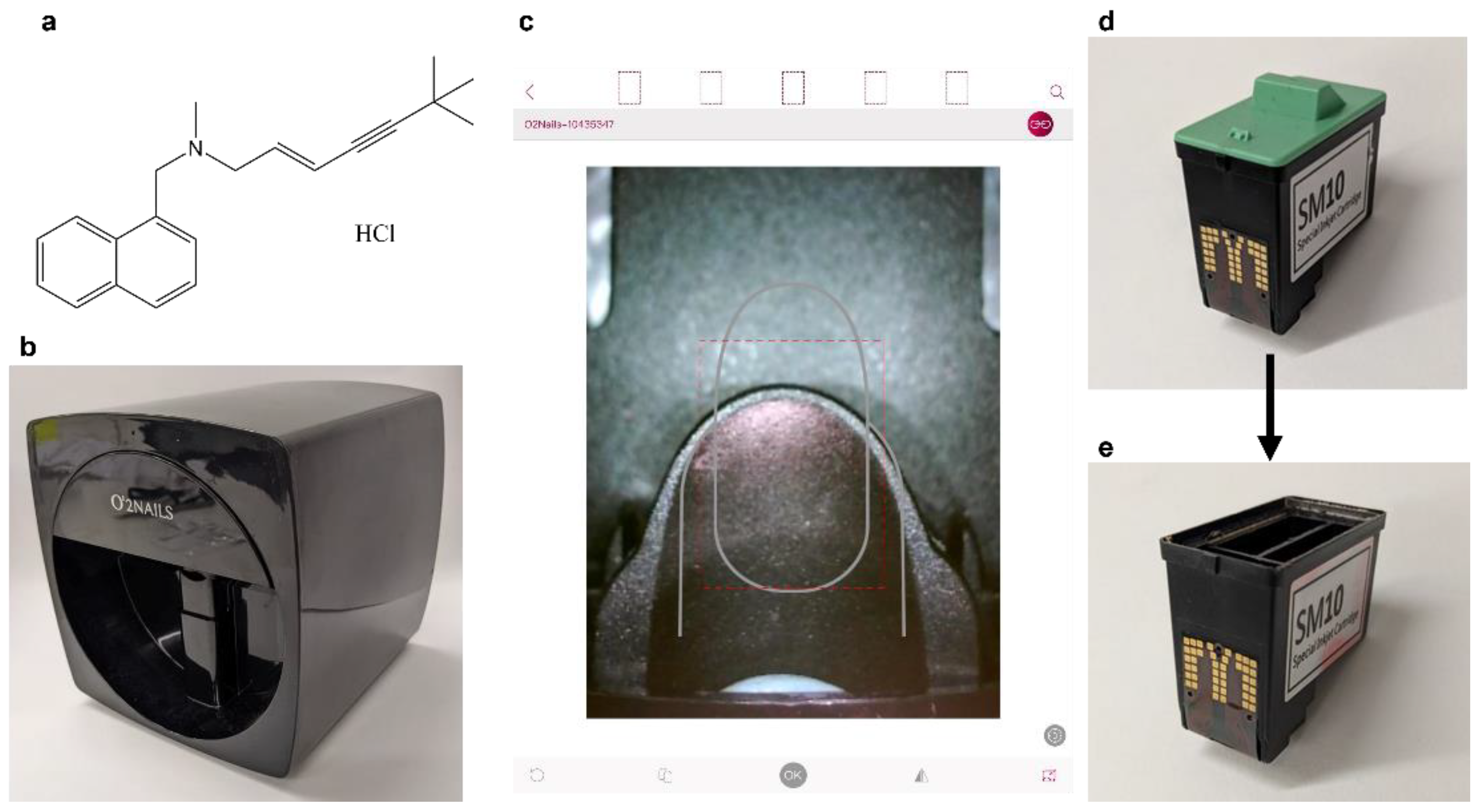 Pharmaceutics 14 00448 g001