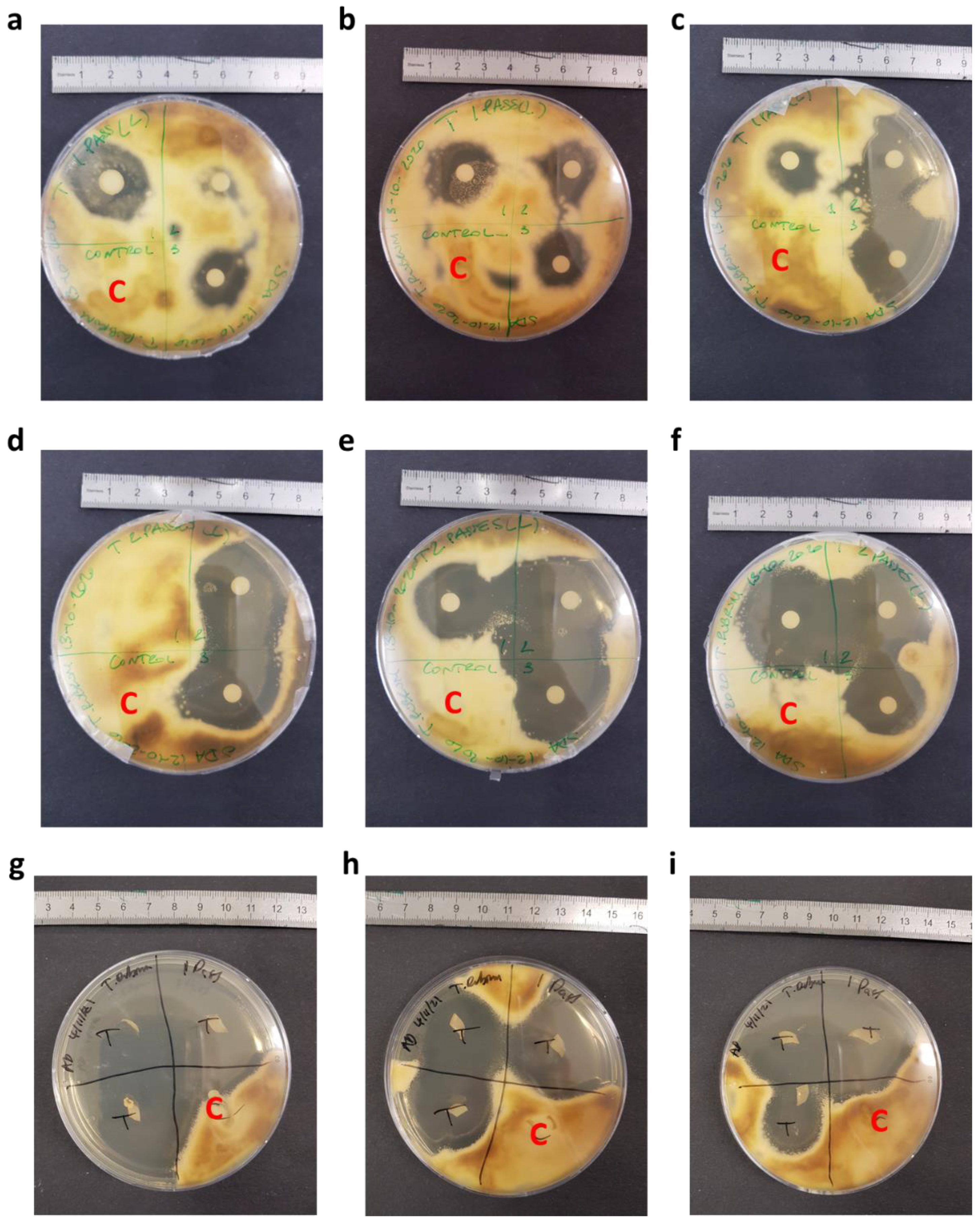 Pharmaceutics 14 00448 g006