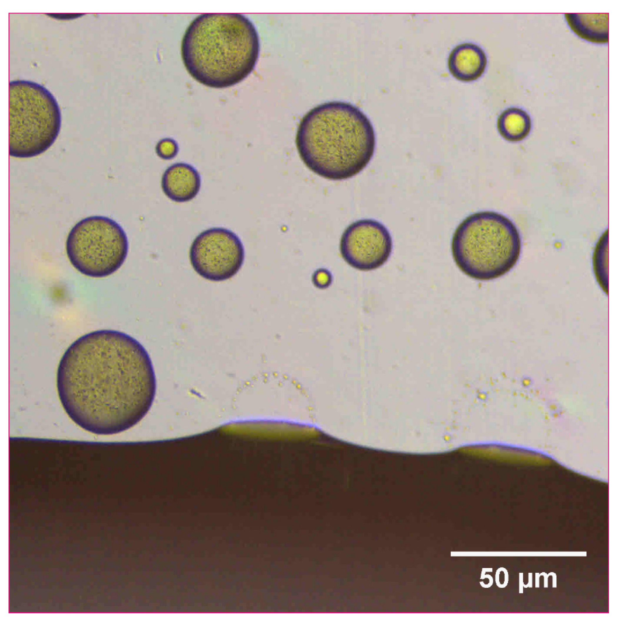 Pharmaceutics 14 00449 g007