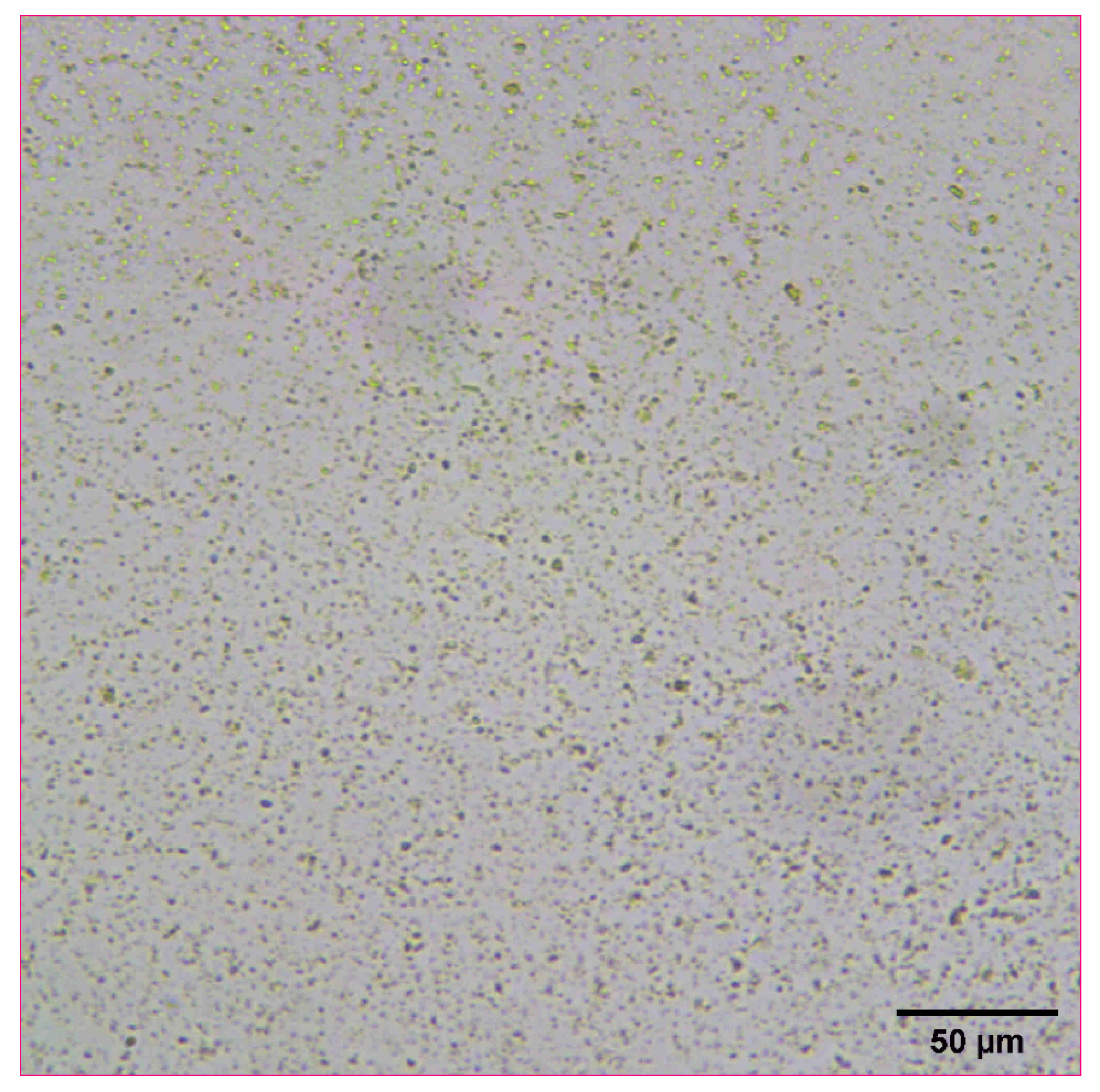 Pharmaceutics 14 00449 g009