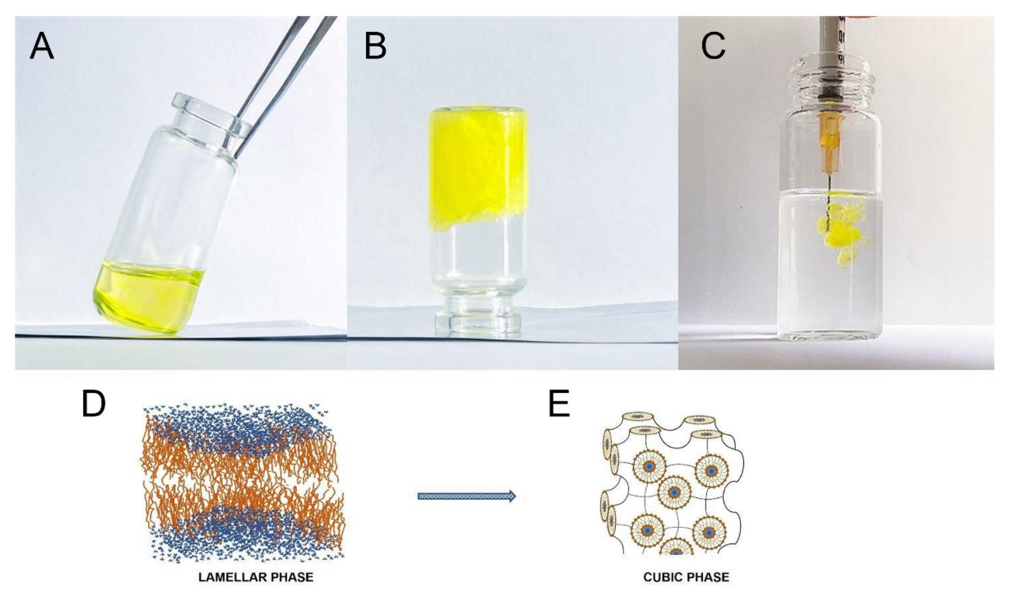 Pharmaceutics 14 00452 g002 550