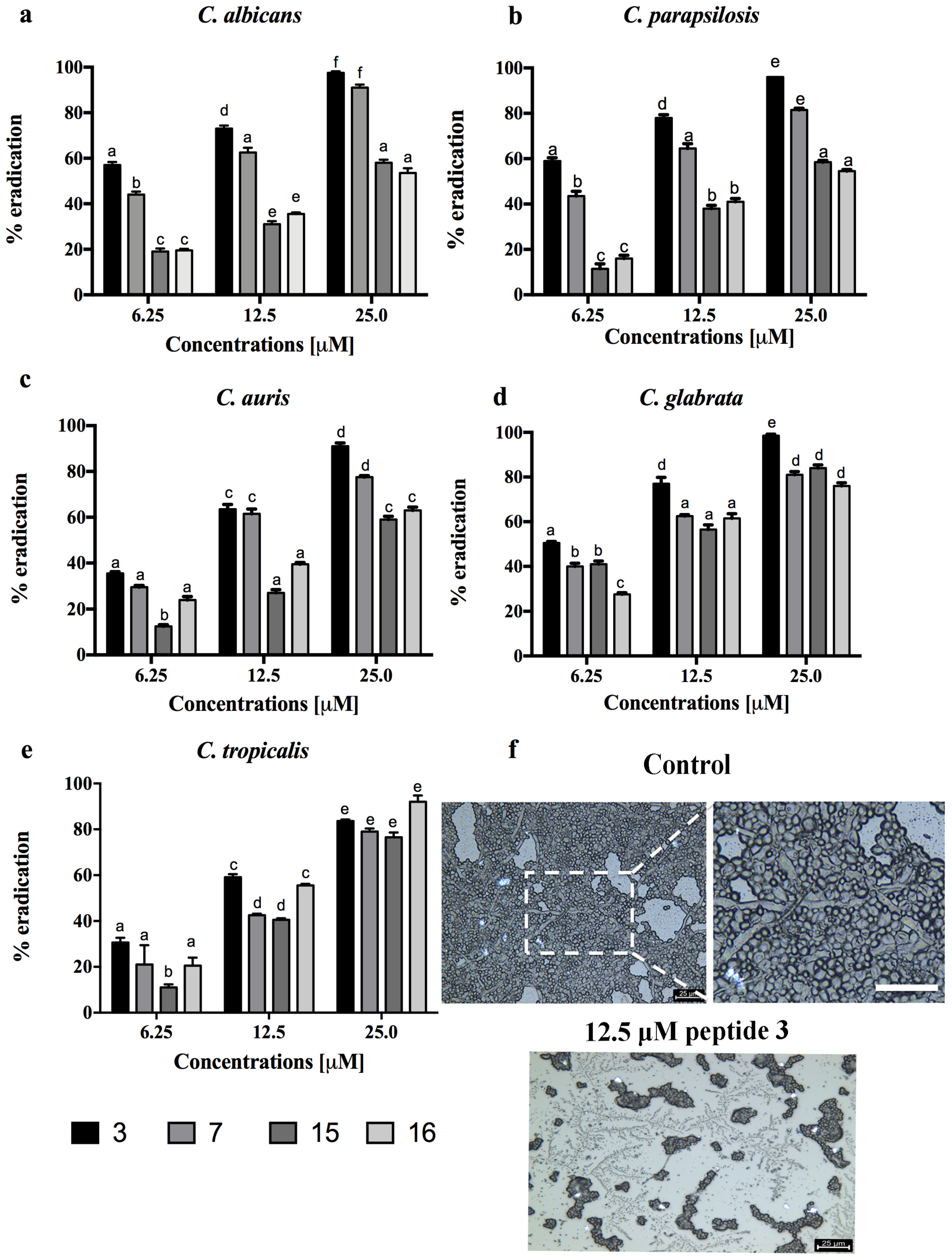 Pharmaceutics 14 00454 g003 Pharmaceutics 14 00454 g003