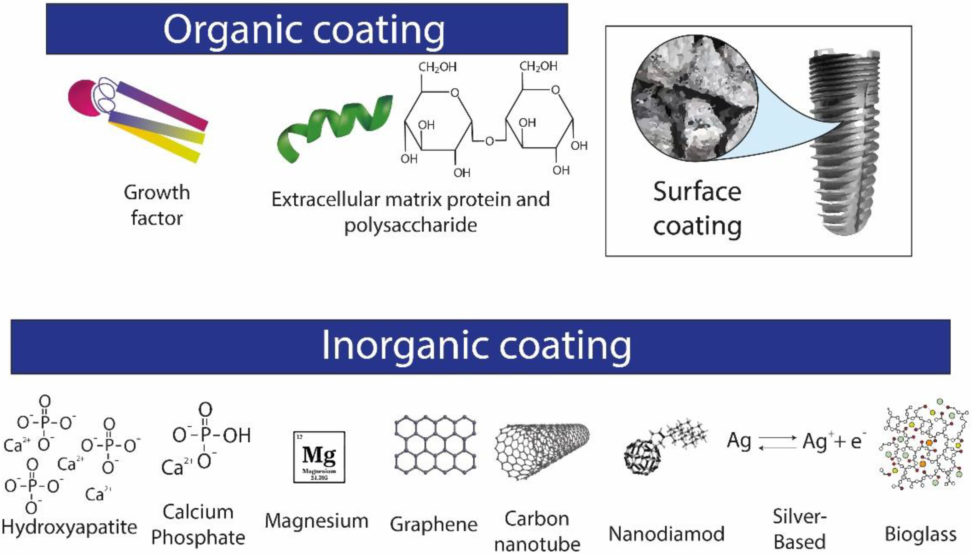 Pharmaceutics 14 00455 g005 Pharmaceutics 14 00455 g005