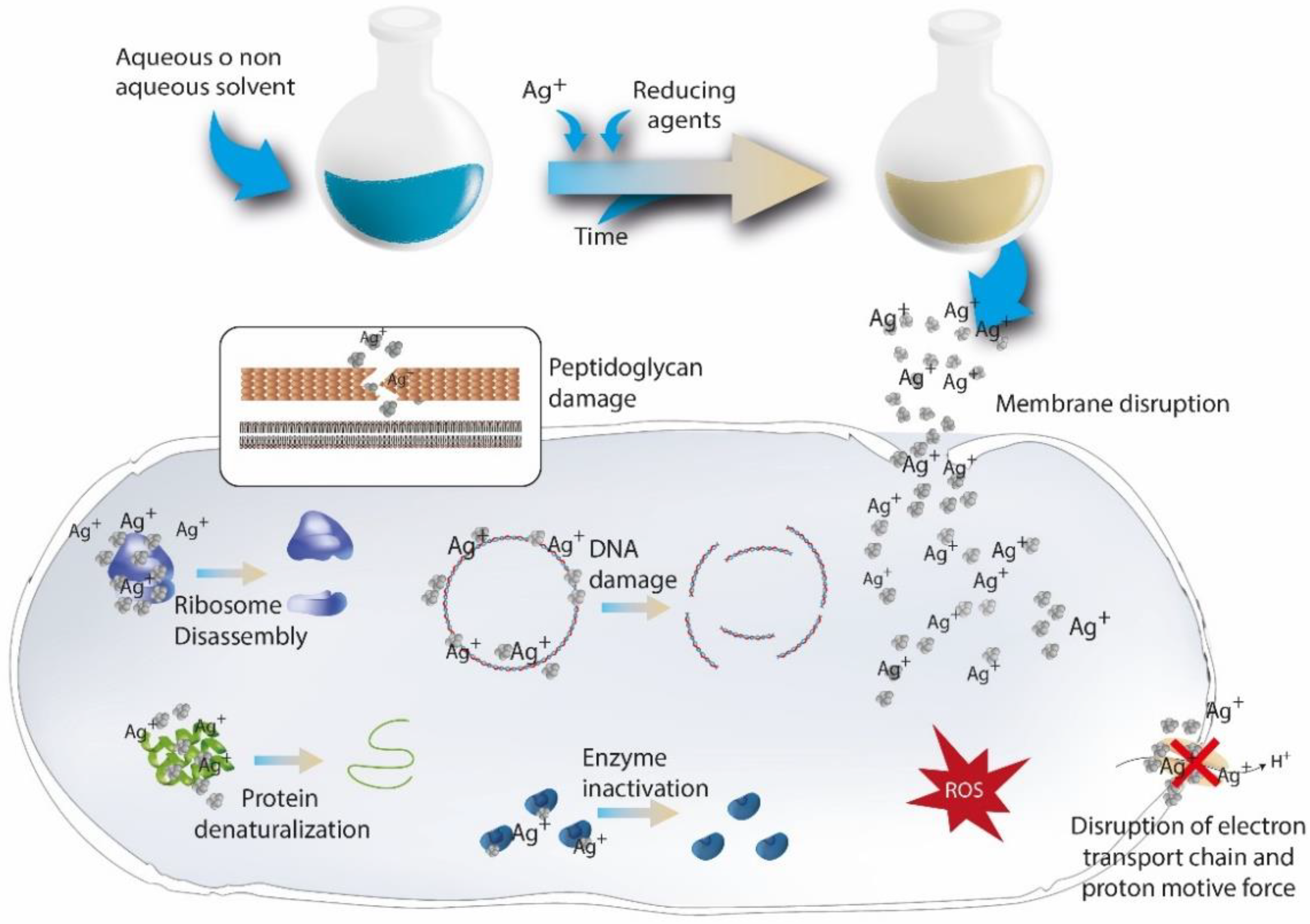 Pharmaceutics 14 00455 g006 Pharmaceutics 14 00455 g006