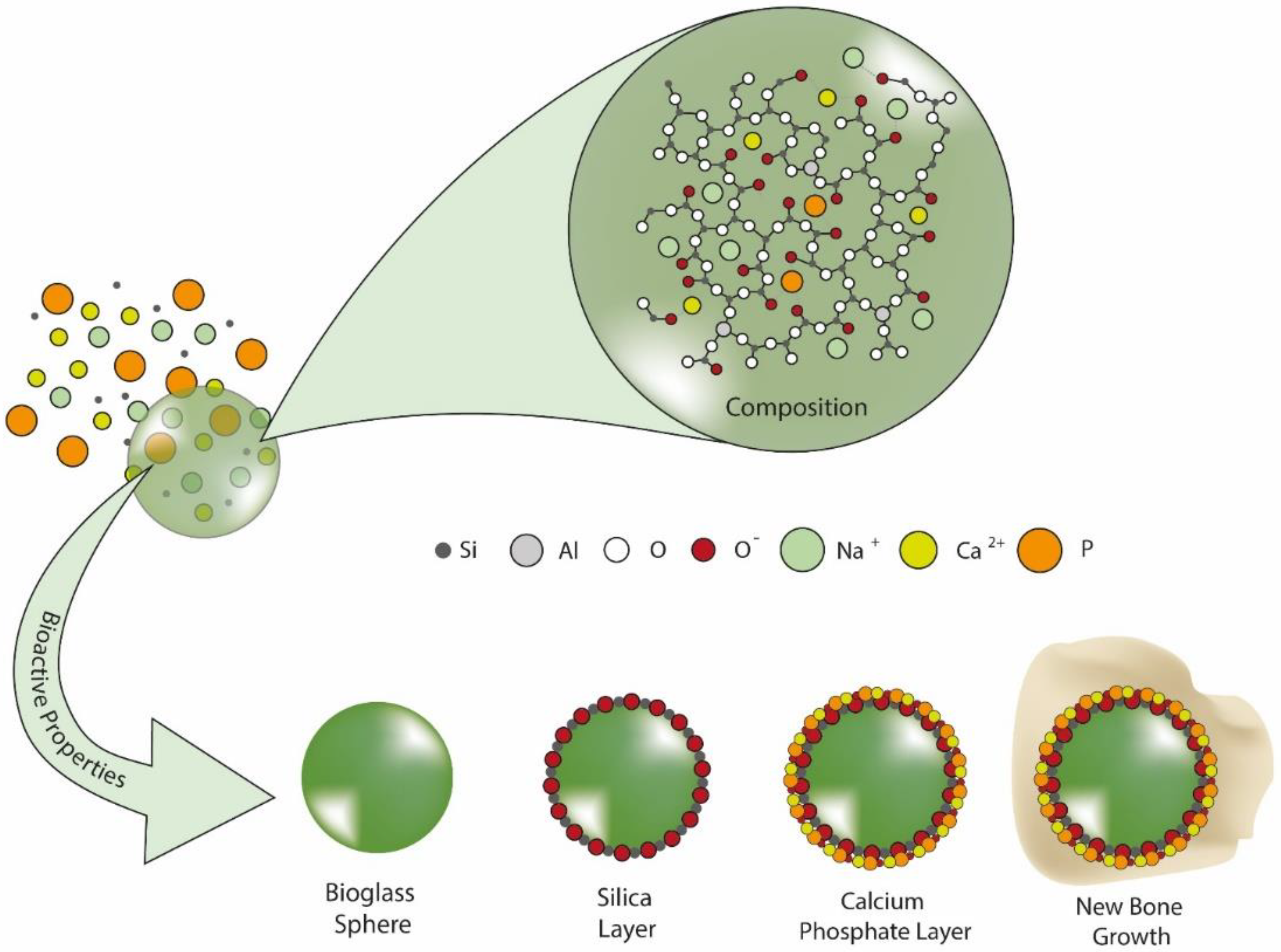 Pharmaceutics 14 00455 g007 Pharmaceutics 14 00455 g007