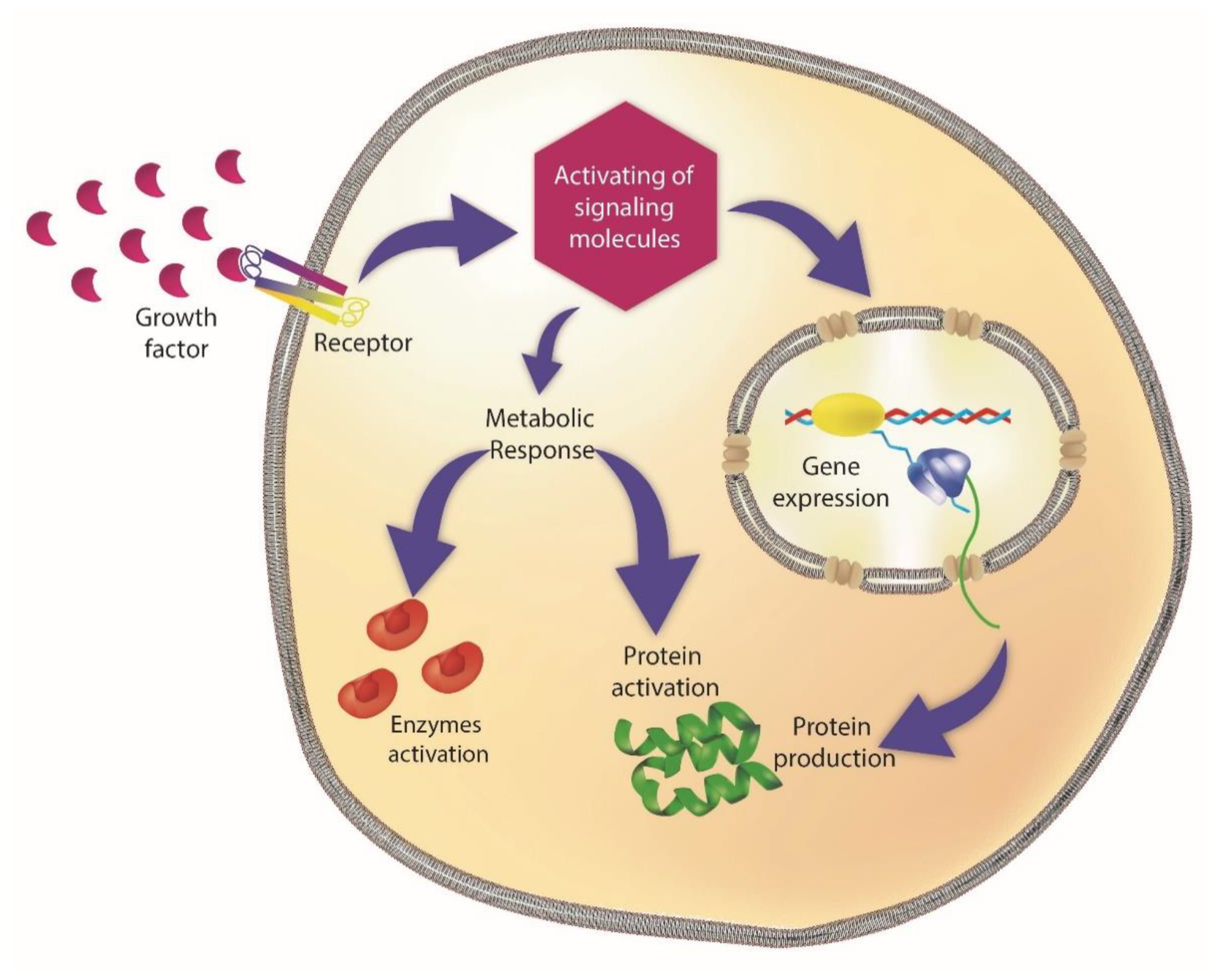 Pharmaceutics 14 00455 g008 Pharmaceutics 14 00455 g008