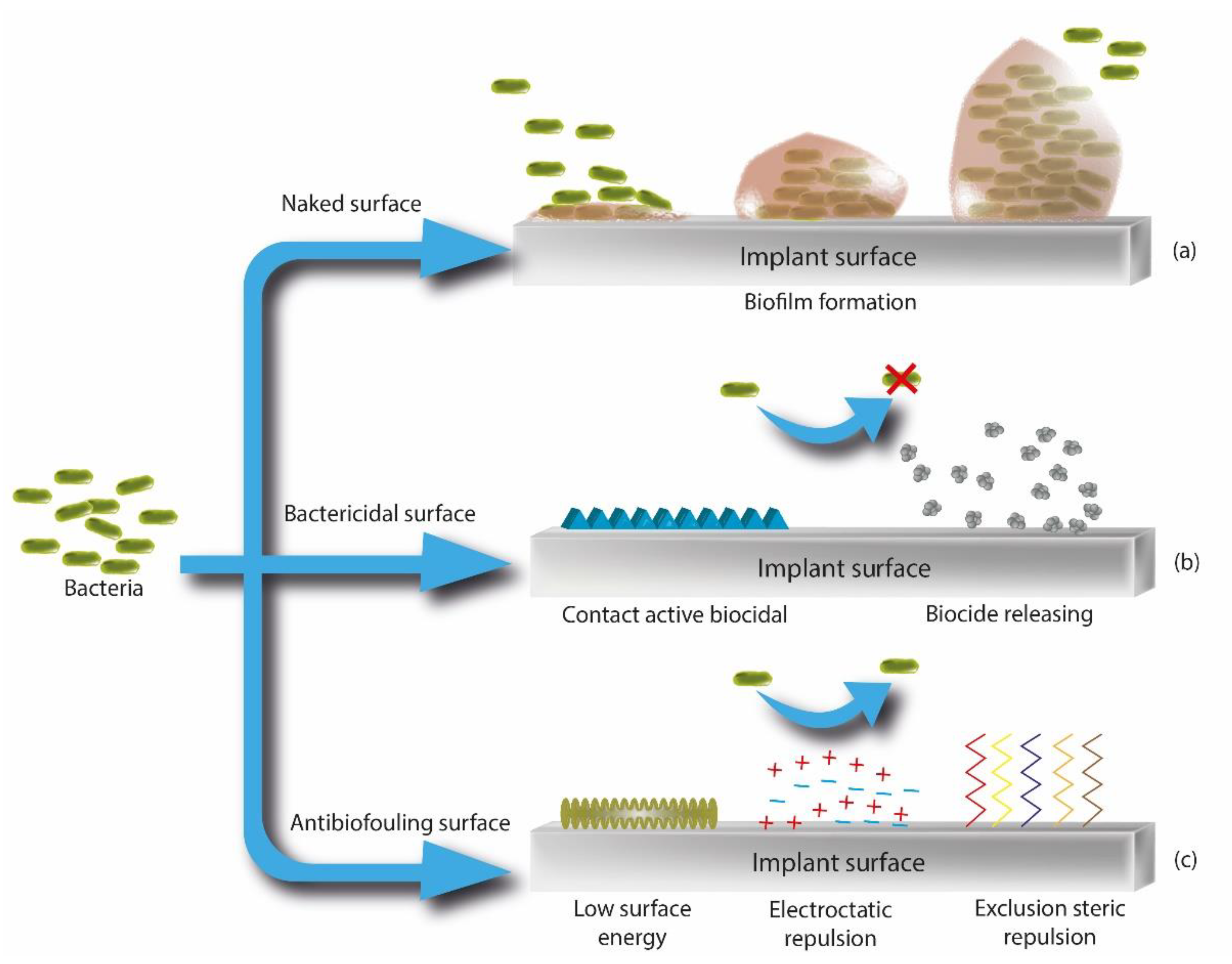 Pharmaceutics 14 00455 g009 Pharmaceutics 14 00455 g009