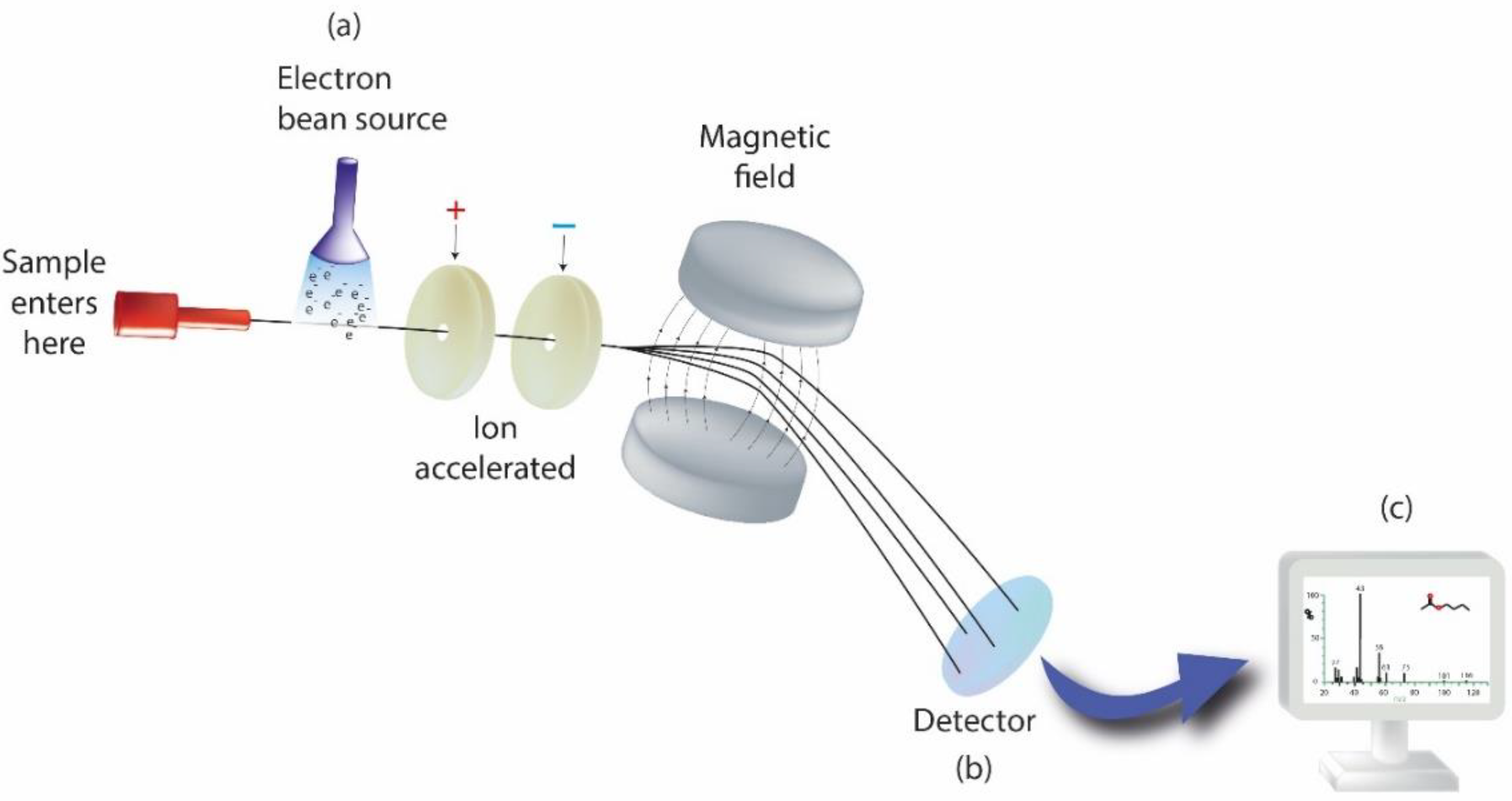 Pharmaceutics 14 00455 g010 Pharmaceutics 14 00455 g010