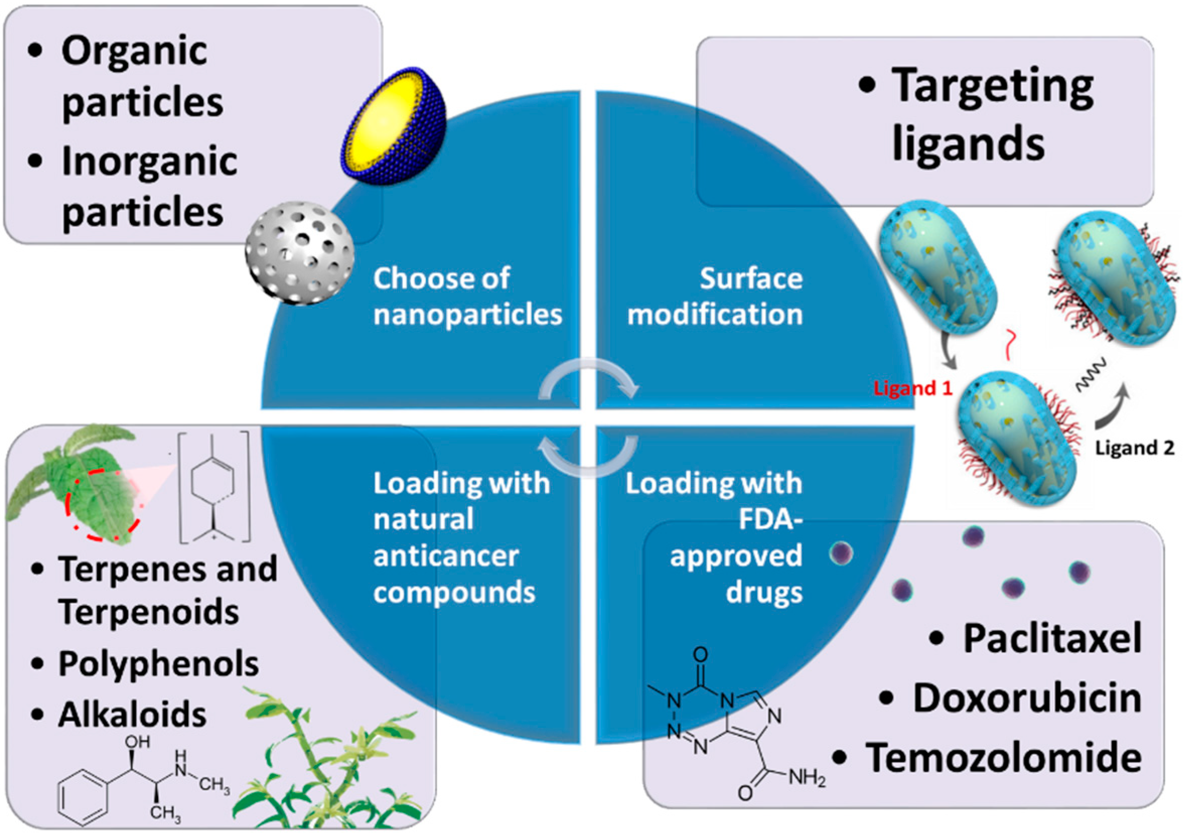 Pharmaceutics 14 00456 g006 Pharmaceutics 14 00456 g006