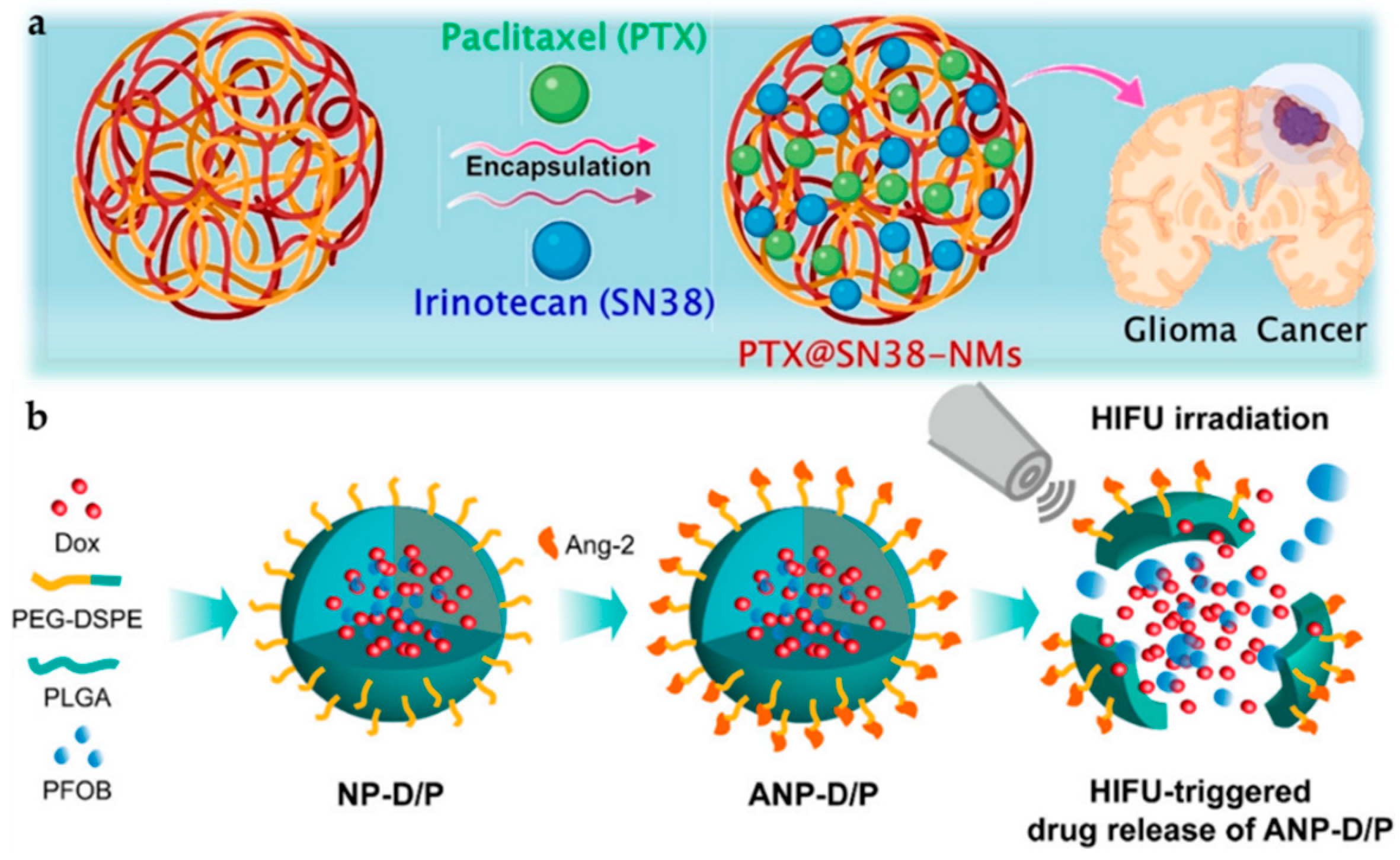 Pharmaceutics 14 00456 g008 Pharmaceutics 14 00456 g008