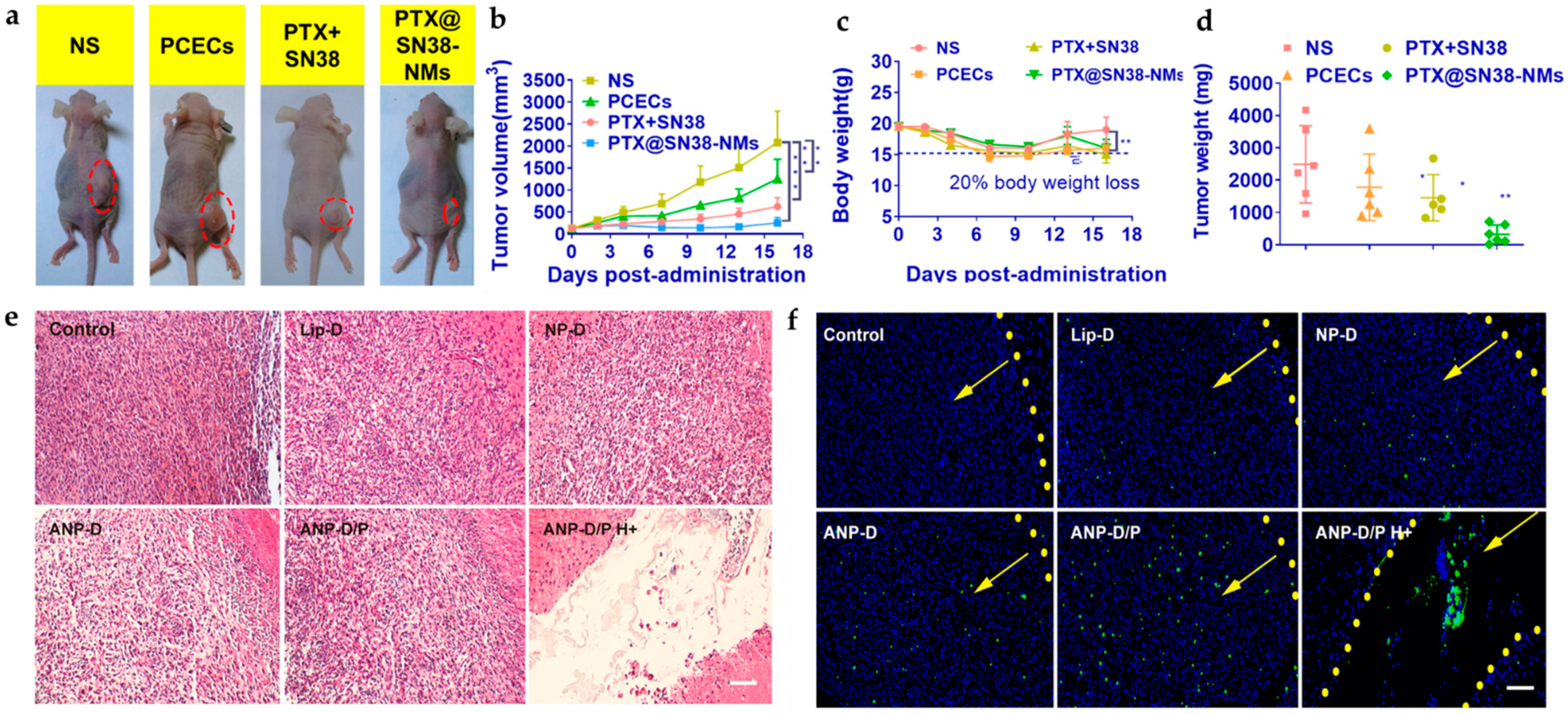 Pharmaceutics 14 00456 g009 Pharmaceutics 14 00456 g009