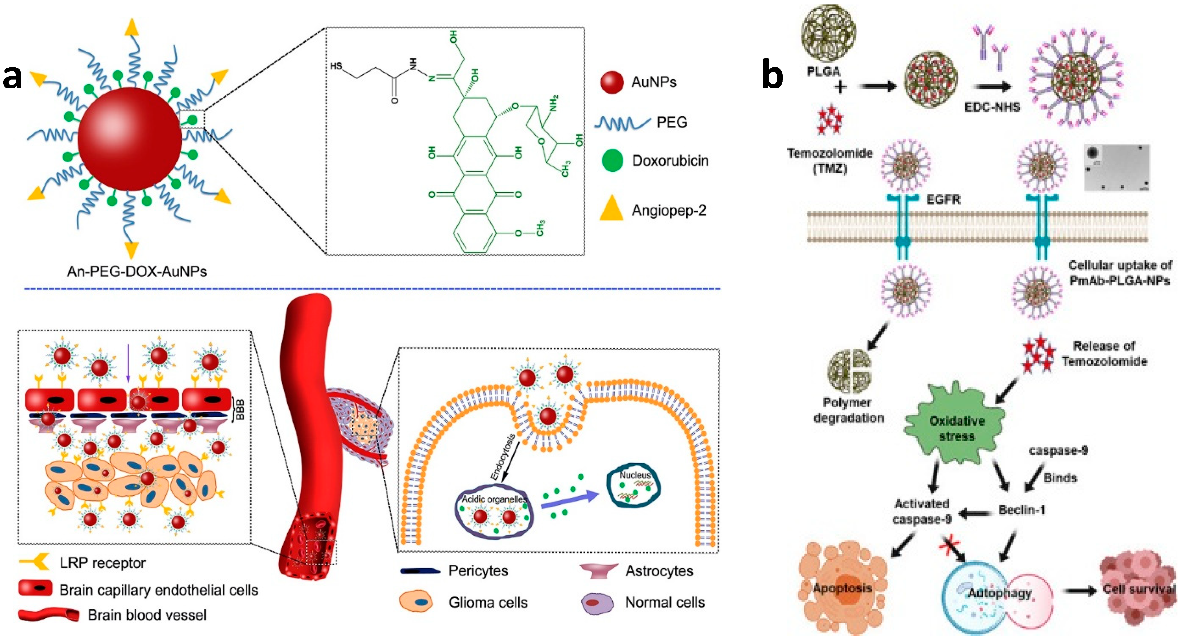 Pharmaceutics 14 00456 g010 Pharmaceutics 14 00456 g010