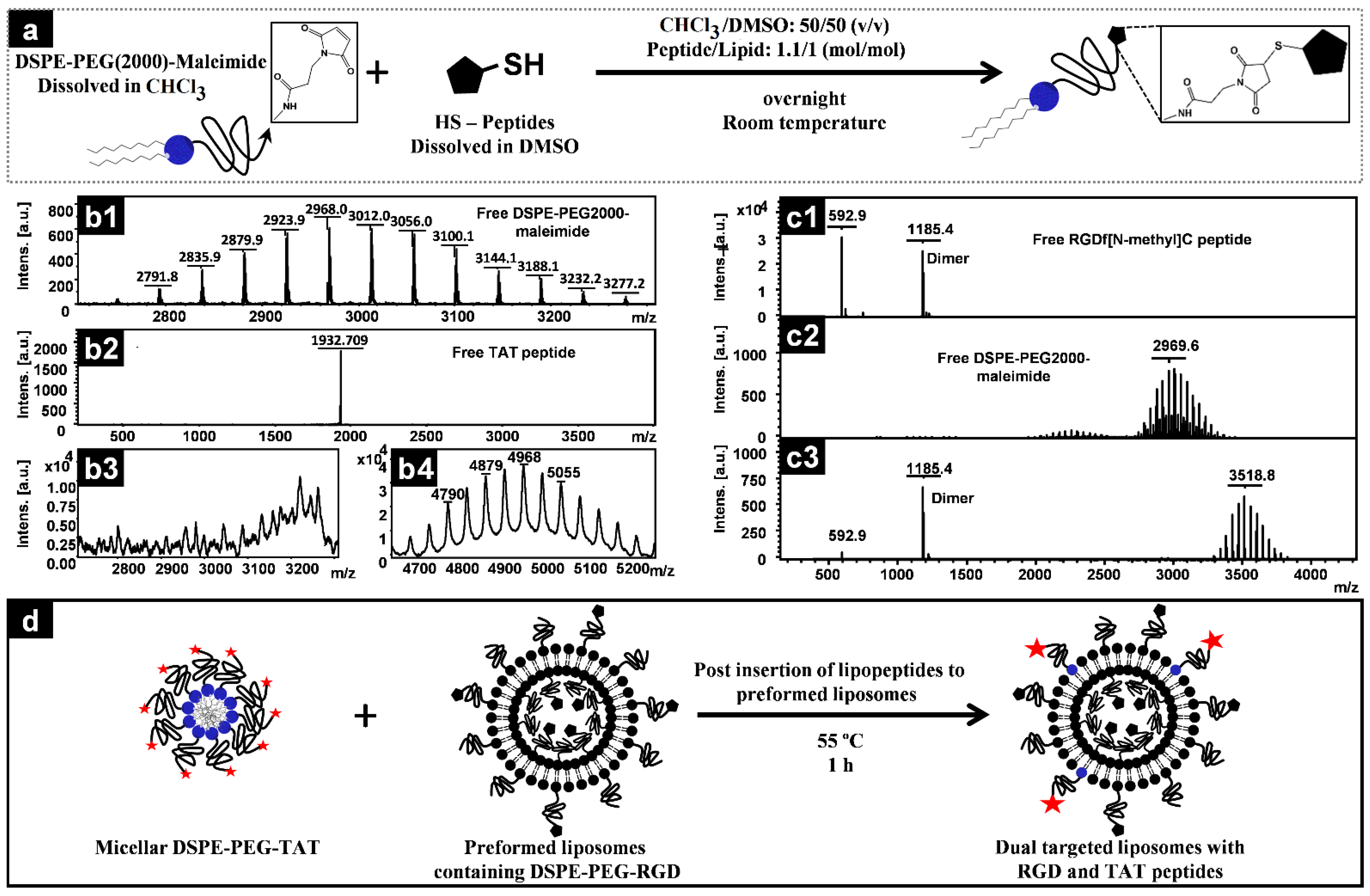 Pharmaceutics 14 00458 g001