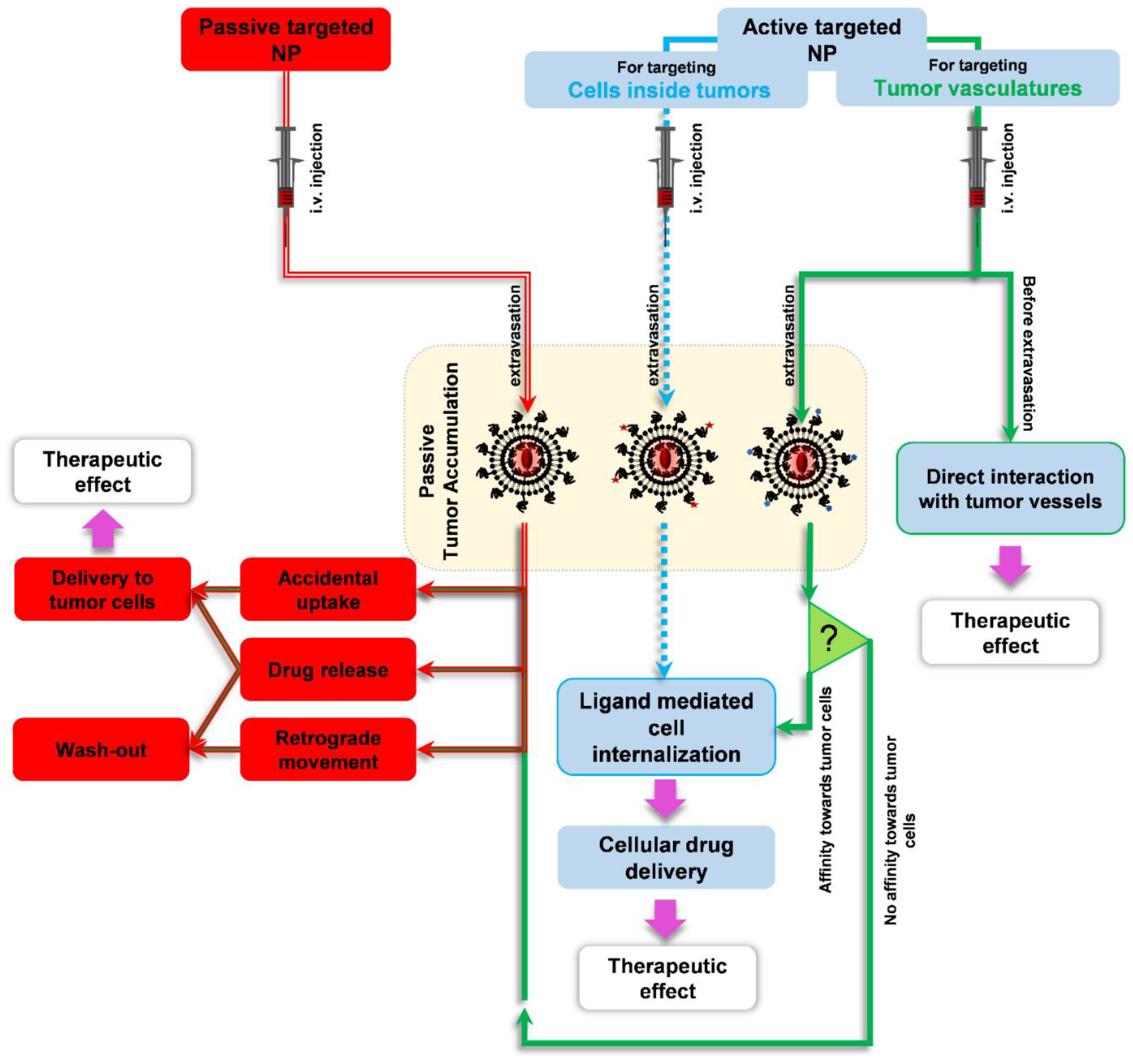 Pharmaceutics 14 00458 g010