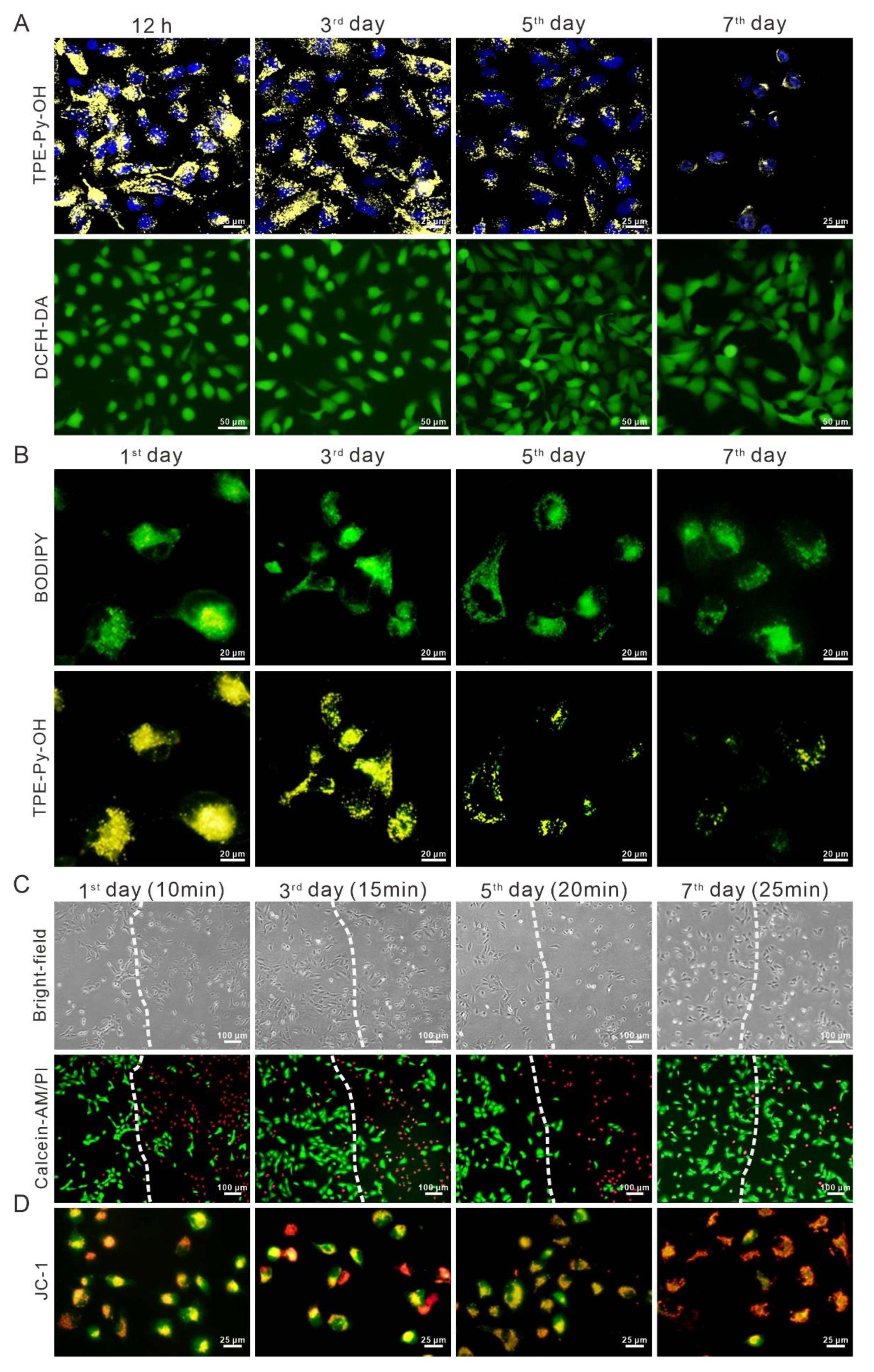 Pharmaceutics 14 00459 g004