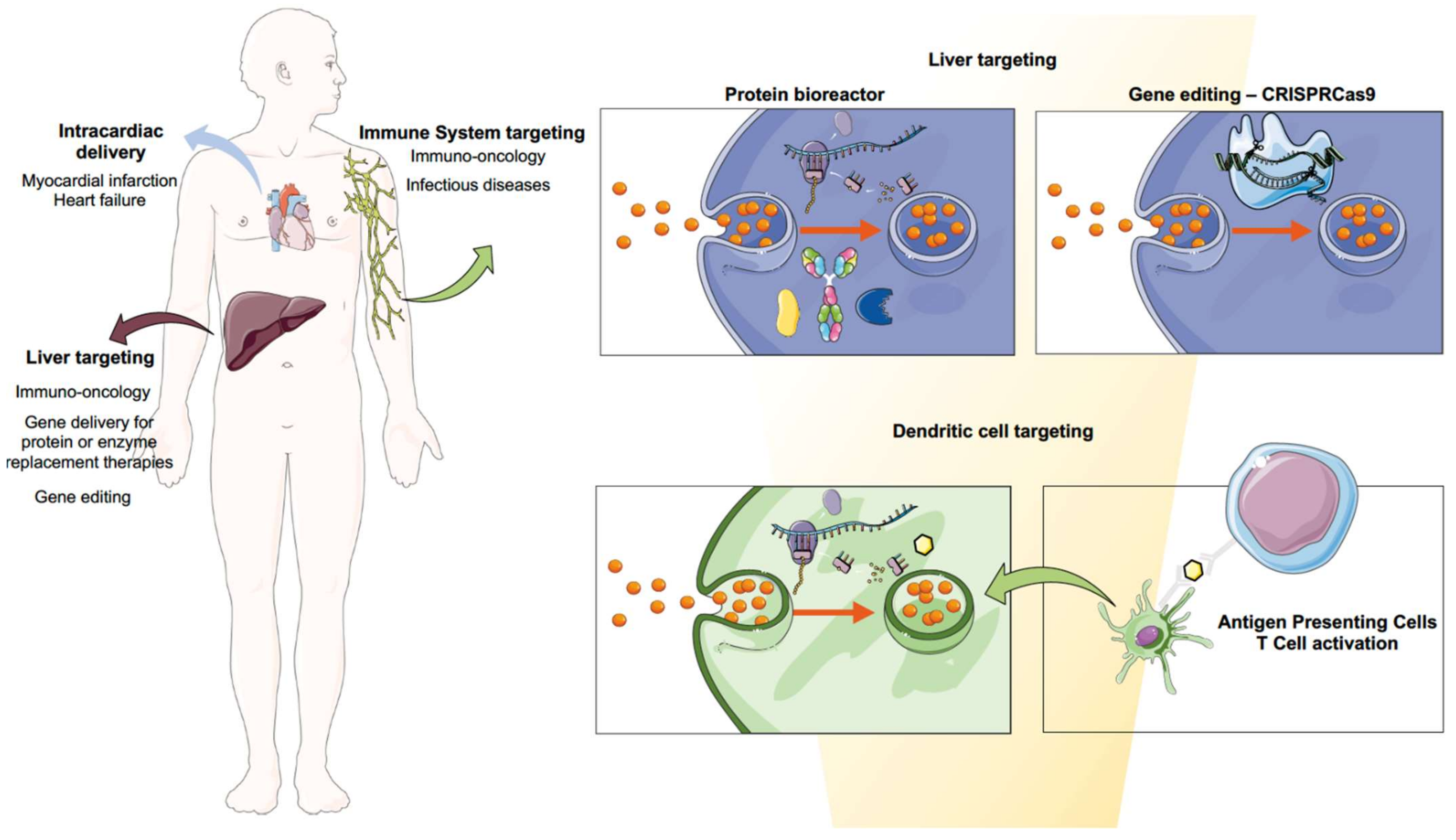 Pharmaceutics 14 00460 g004 Pharmaceutics 14 00460 g004