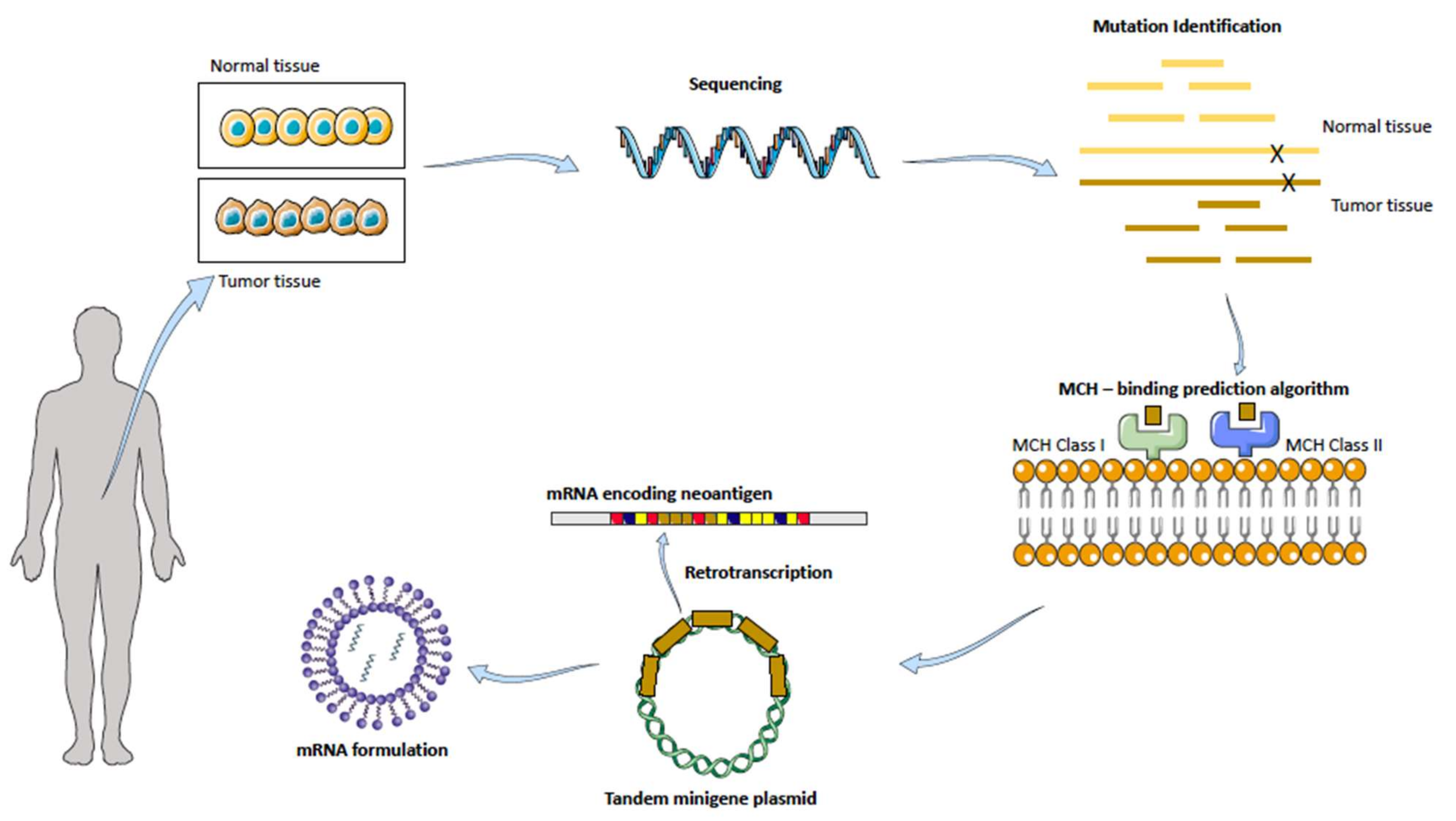 Pharmaceutics 14 00460 g005 Pharmaceutics 14 00460 g005