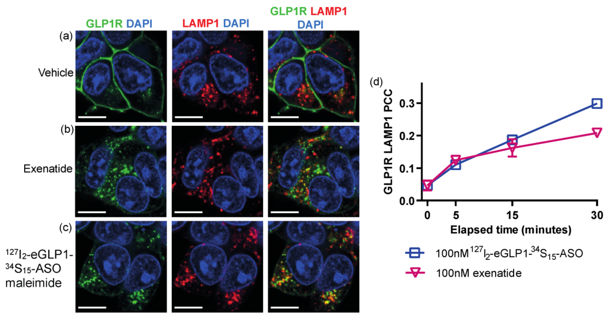 Pharmaceutics 14 00463 g006