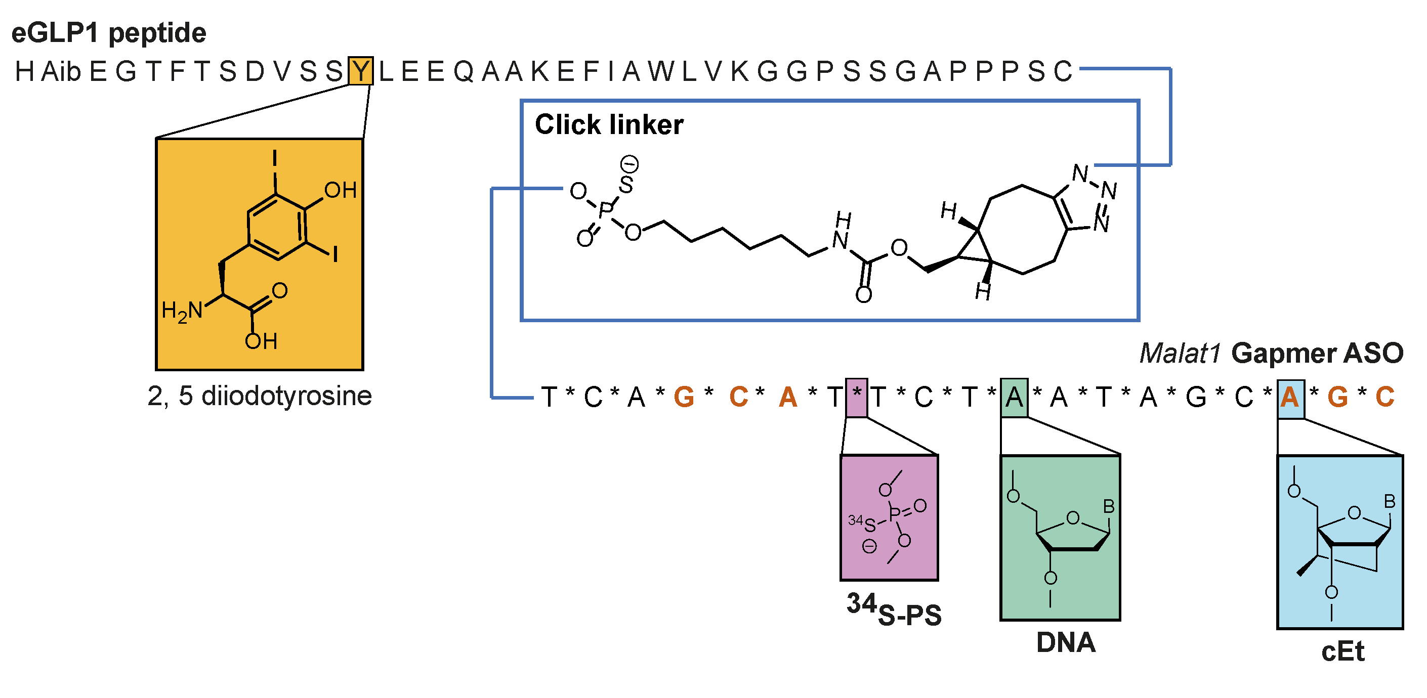 Pharmaceutics 14 00463 g009