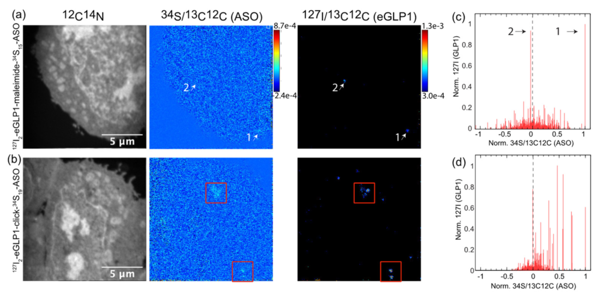 Pharmaceutics 14 00463 g010