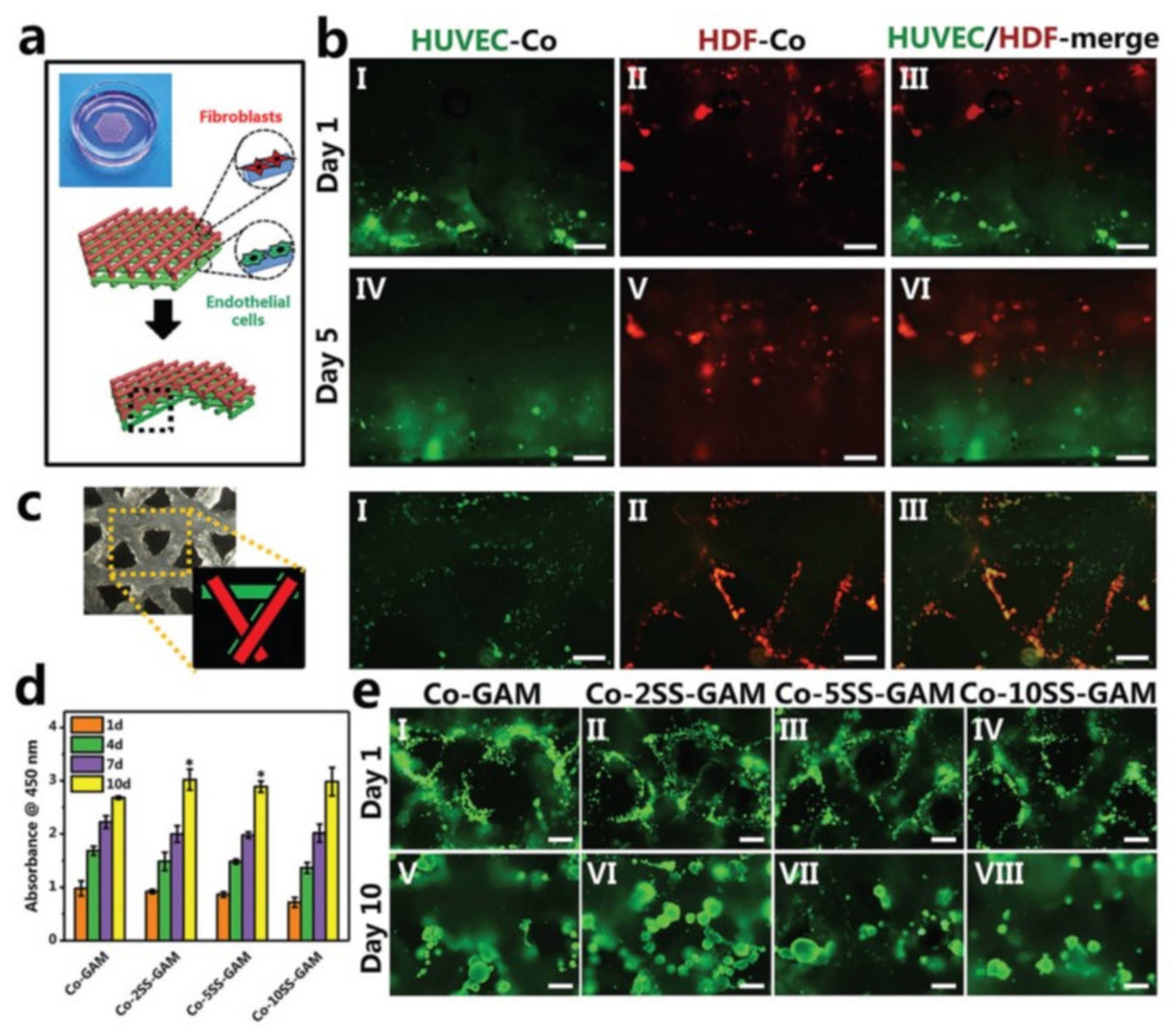 Pharmaceutics 14 00464 g015