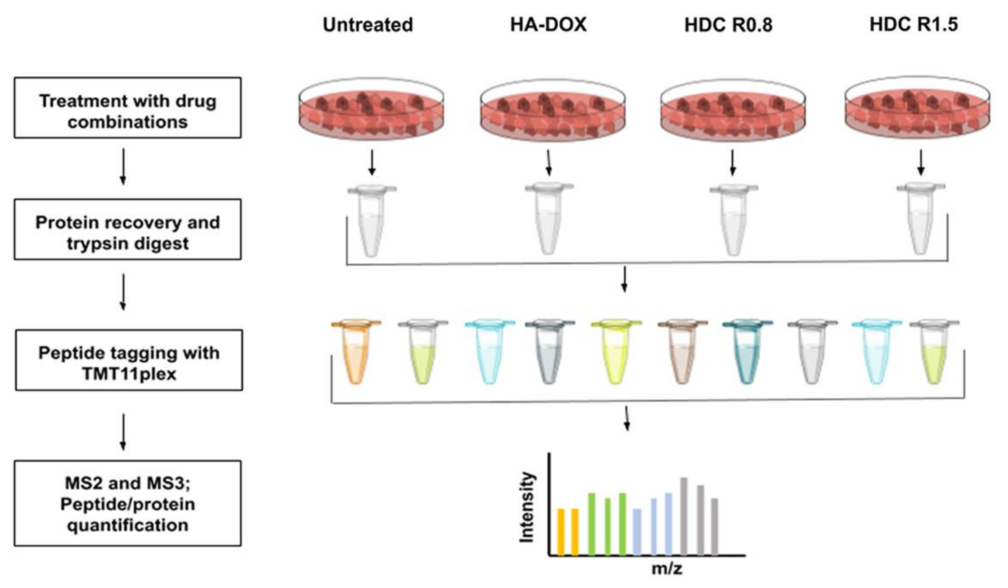 Pharmaceutics 14 00466 g007 550