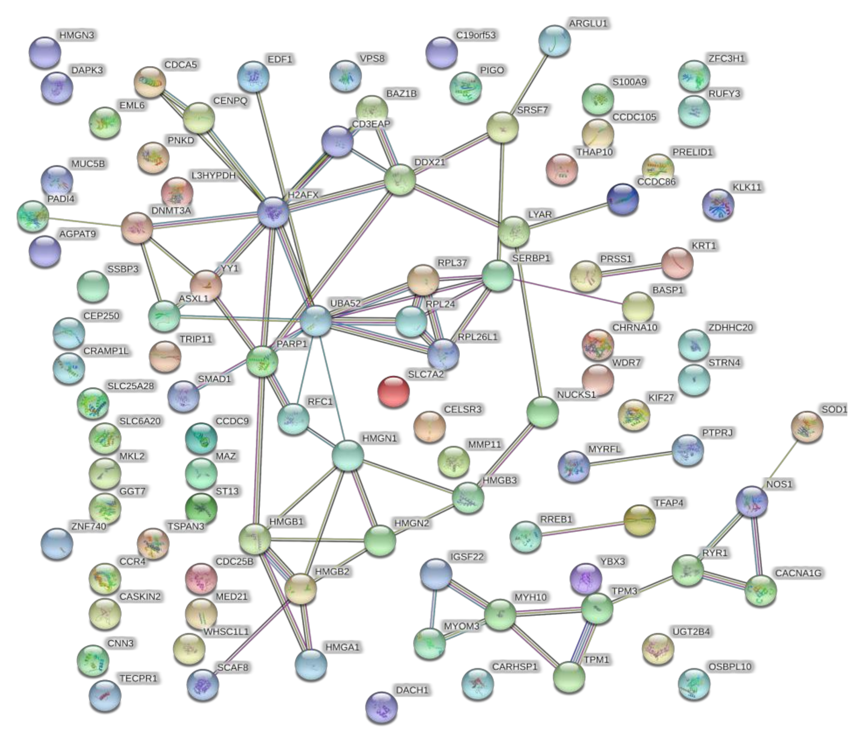 Pharmaceutics 14 00466 g010 550