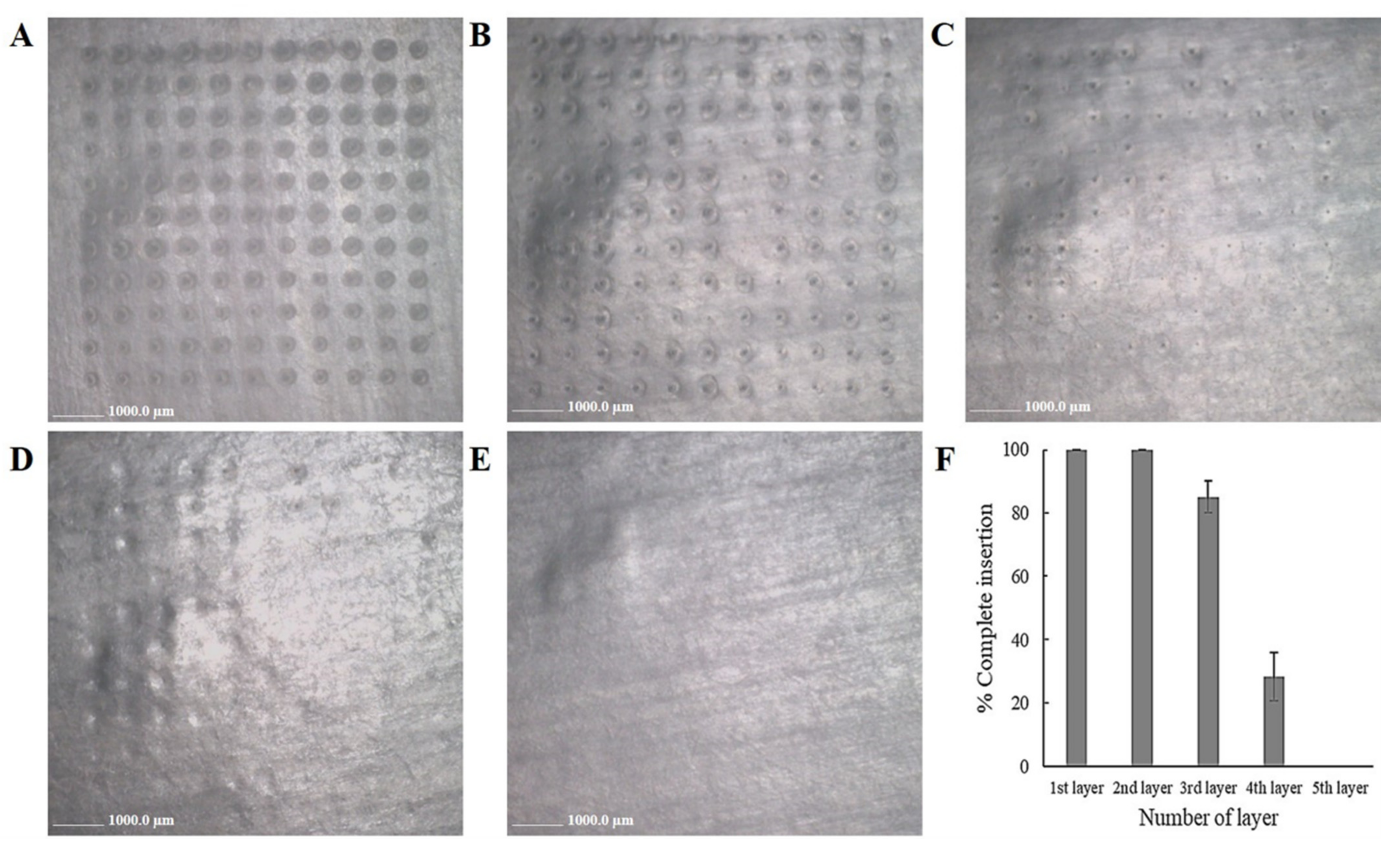 Pharmaceutics 14 00472 g006 Pharmaceutics 14 00472 g006
