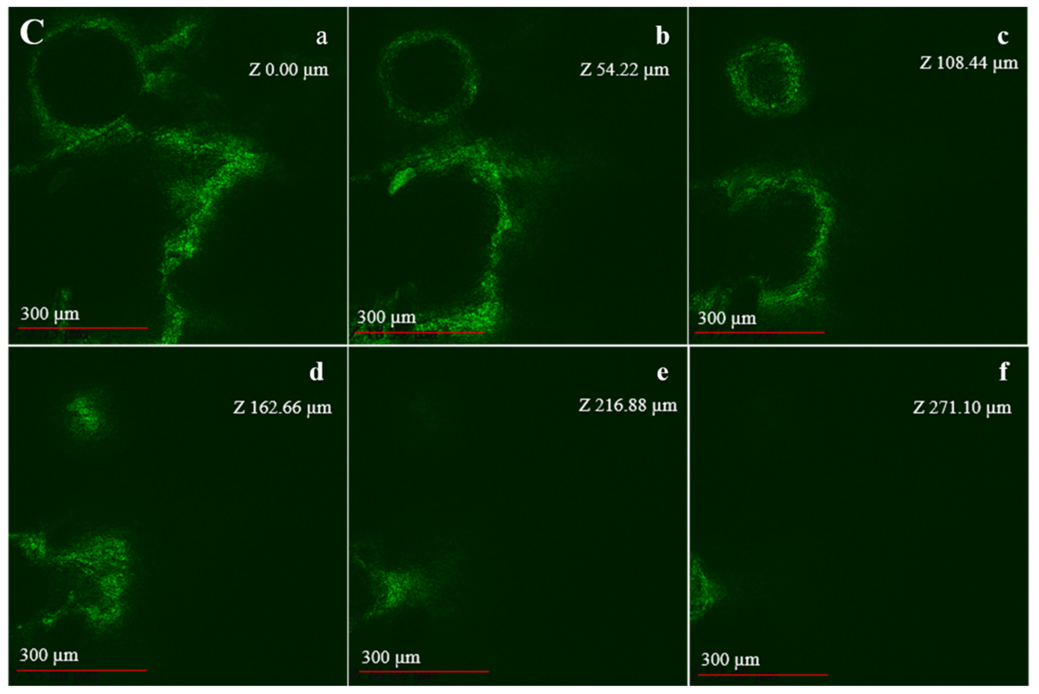Pharmaceutics 14 00472 g007b Pharmaceutics 14 00472 g007b