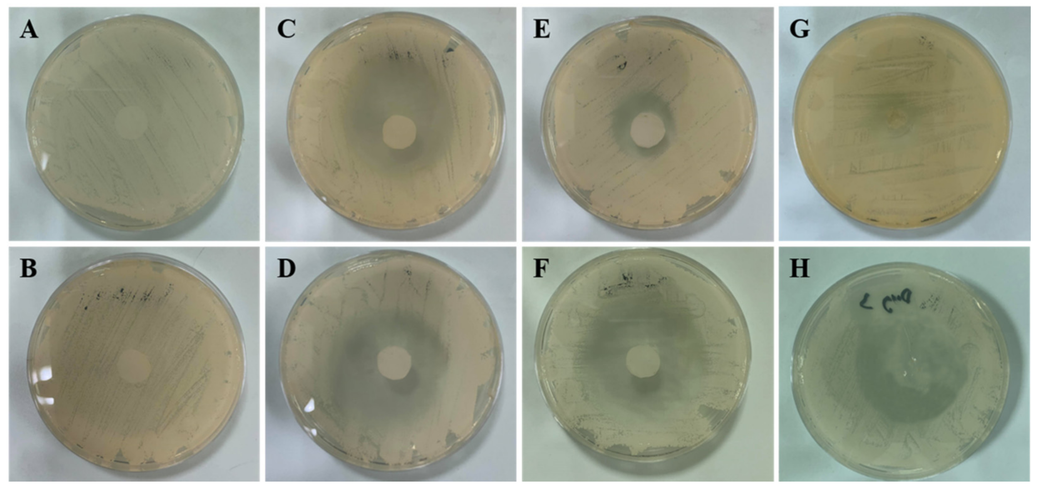 Pharmaceutics 14 00472 g010 Pharmaceutics 14 00472 g010